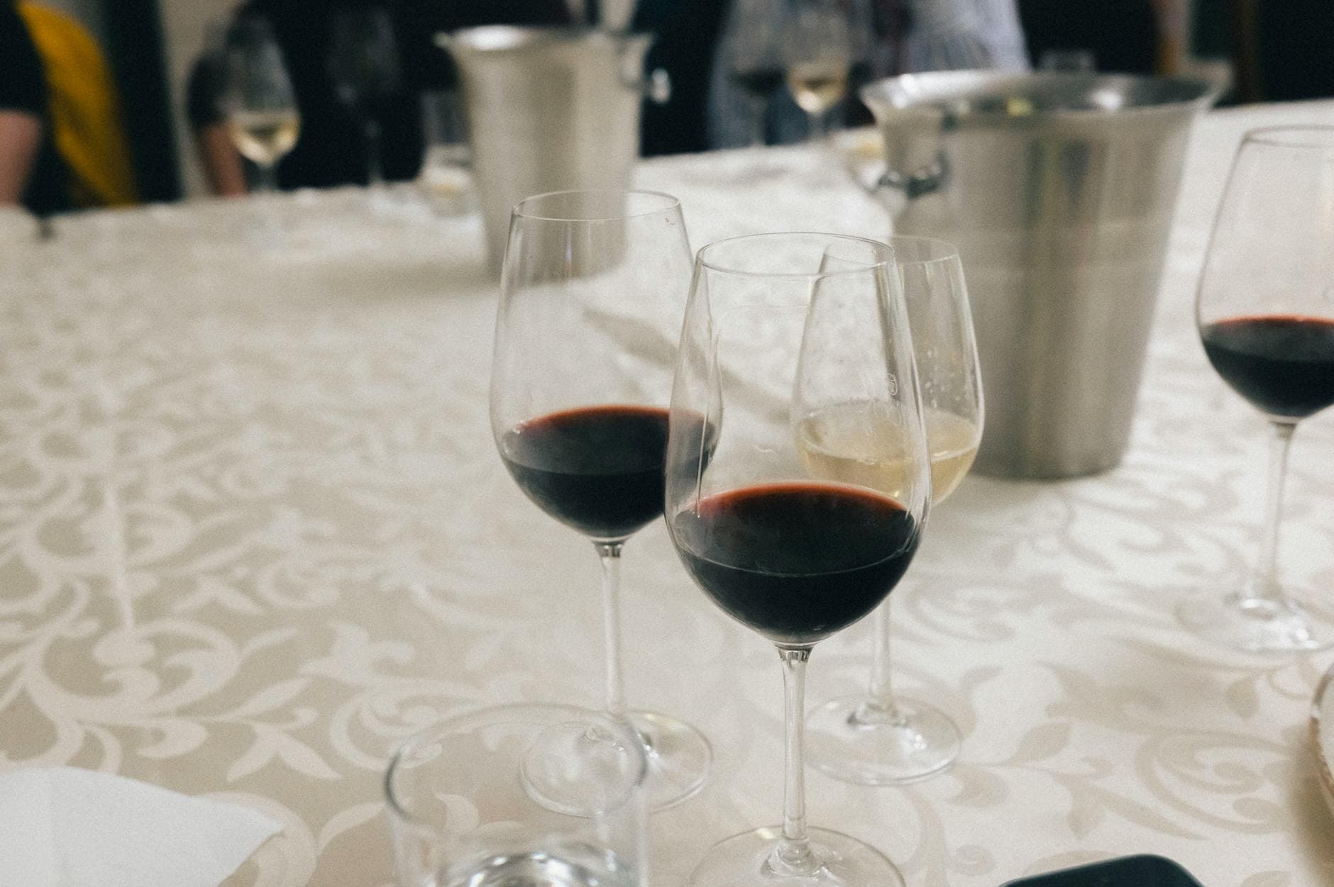 Wine Festivals in the USA 2026: The Complete American Wine Event Calendar