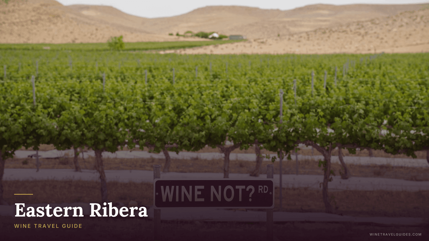 Eastern Ribera Wine Travel Guide (Ribera del Duero, Spain)