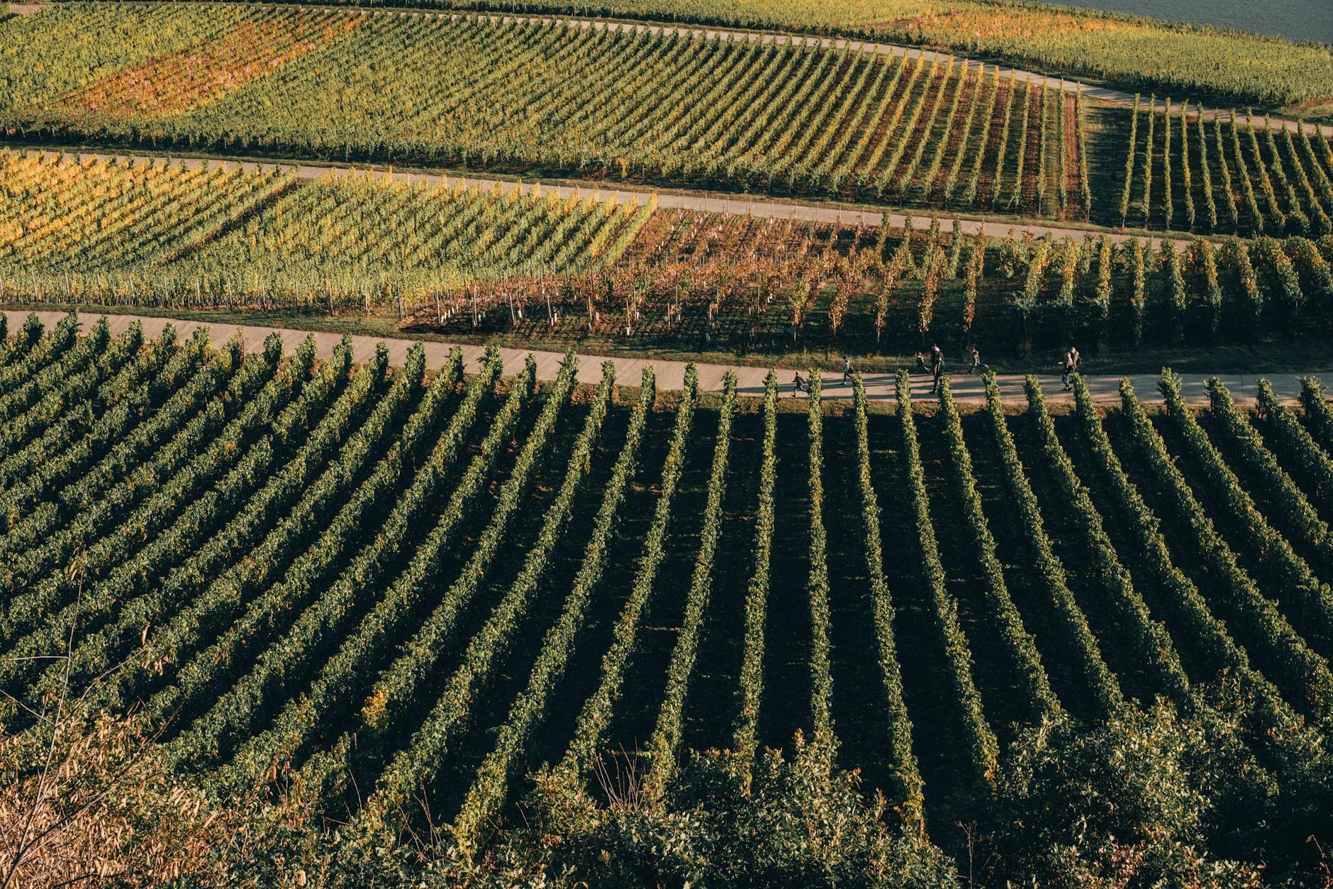 Wine Country Breakfast Spots