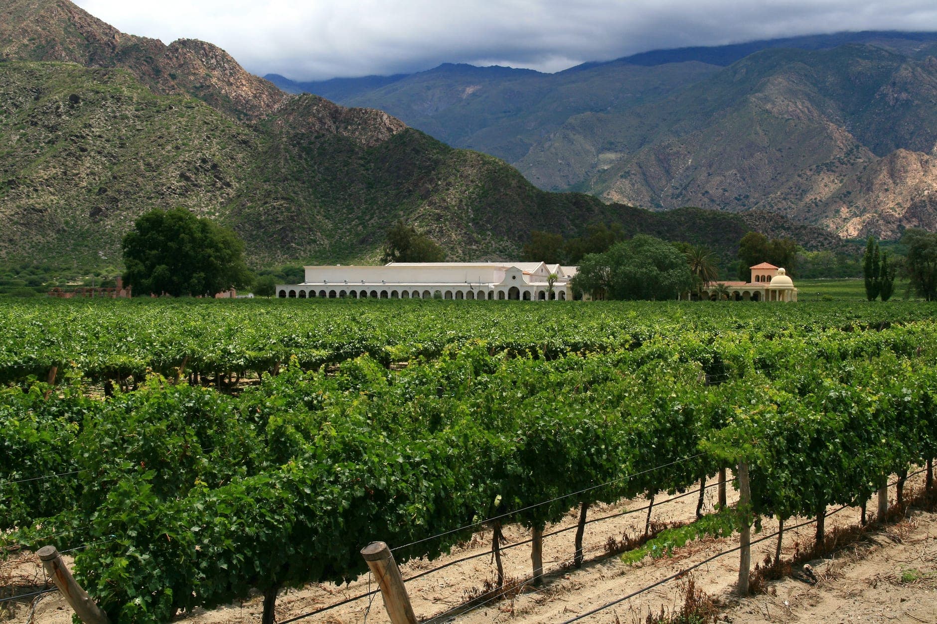 Salta (Argentina)