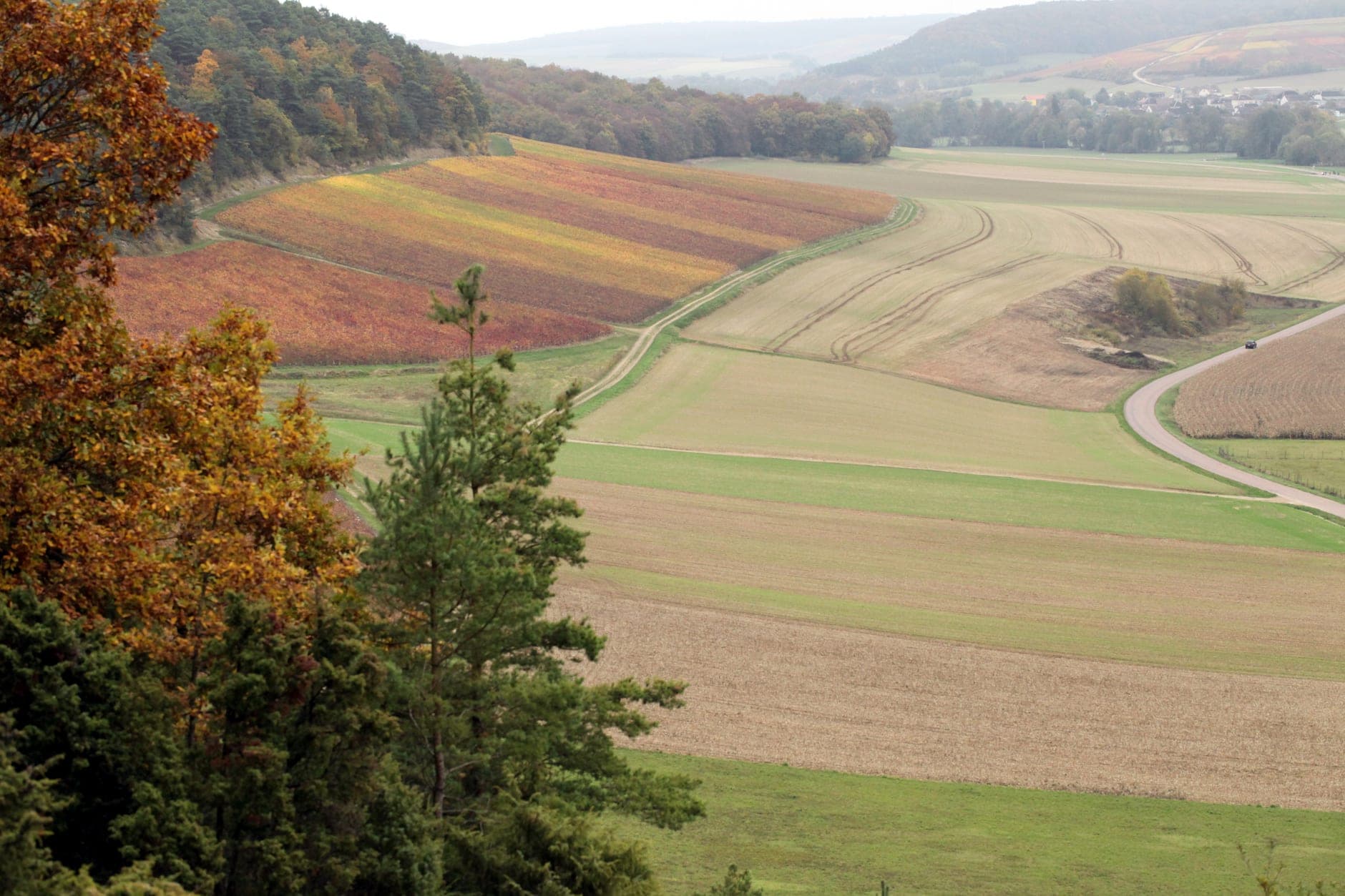 The Aube Wine Travel Guide (Champagne, France)
