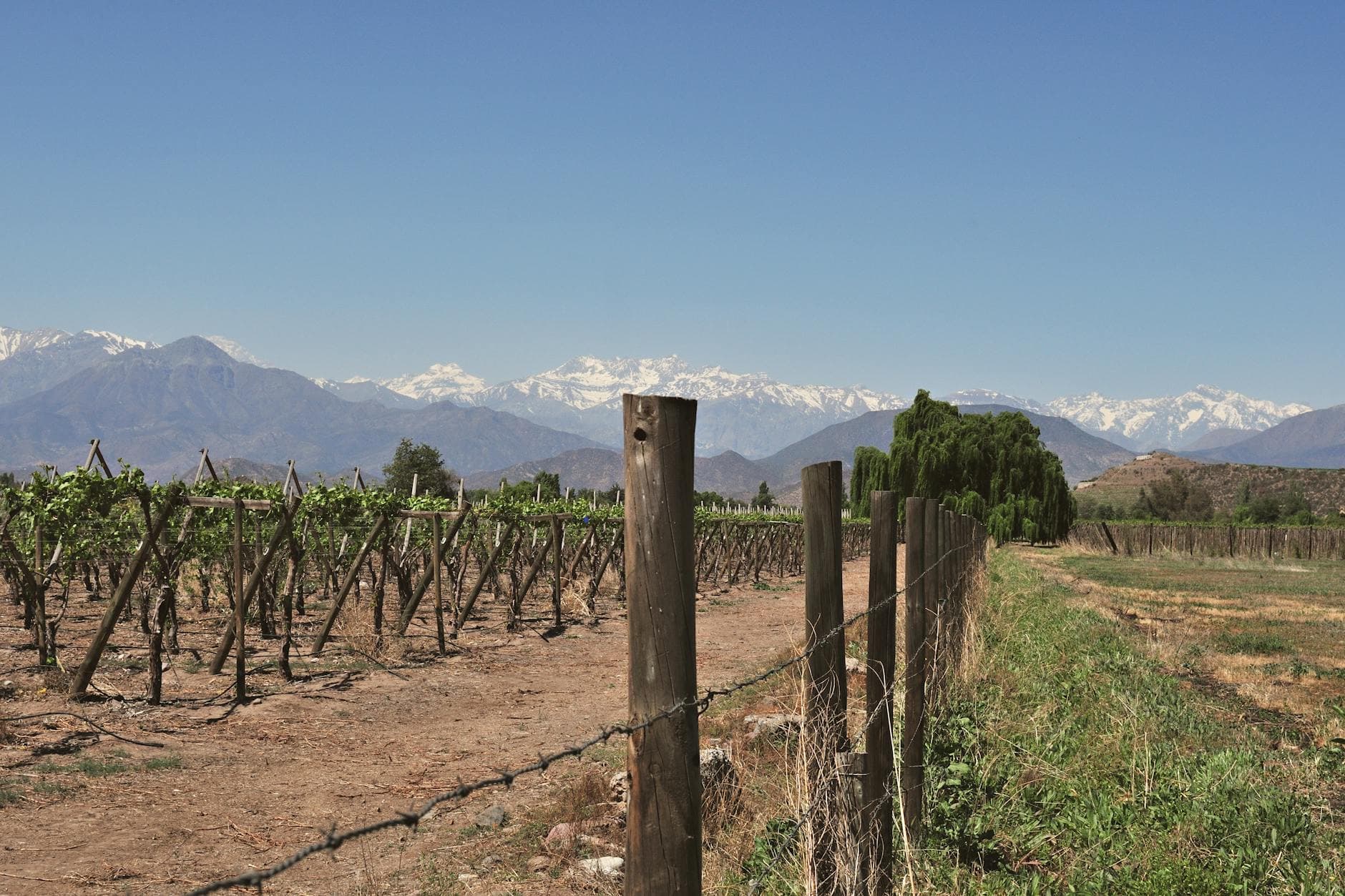 Bekaa Valley