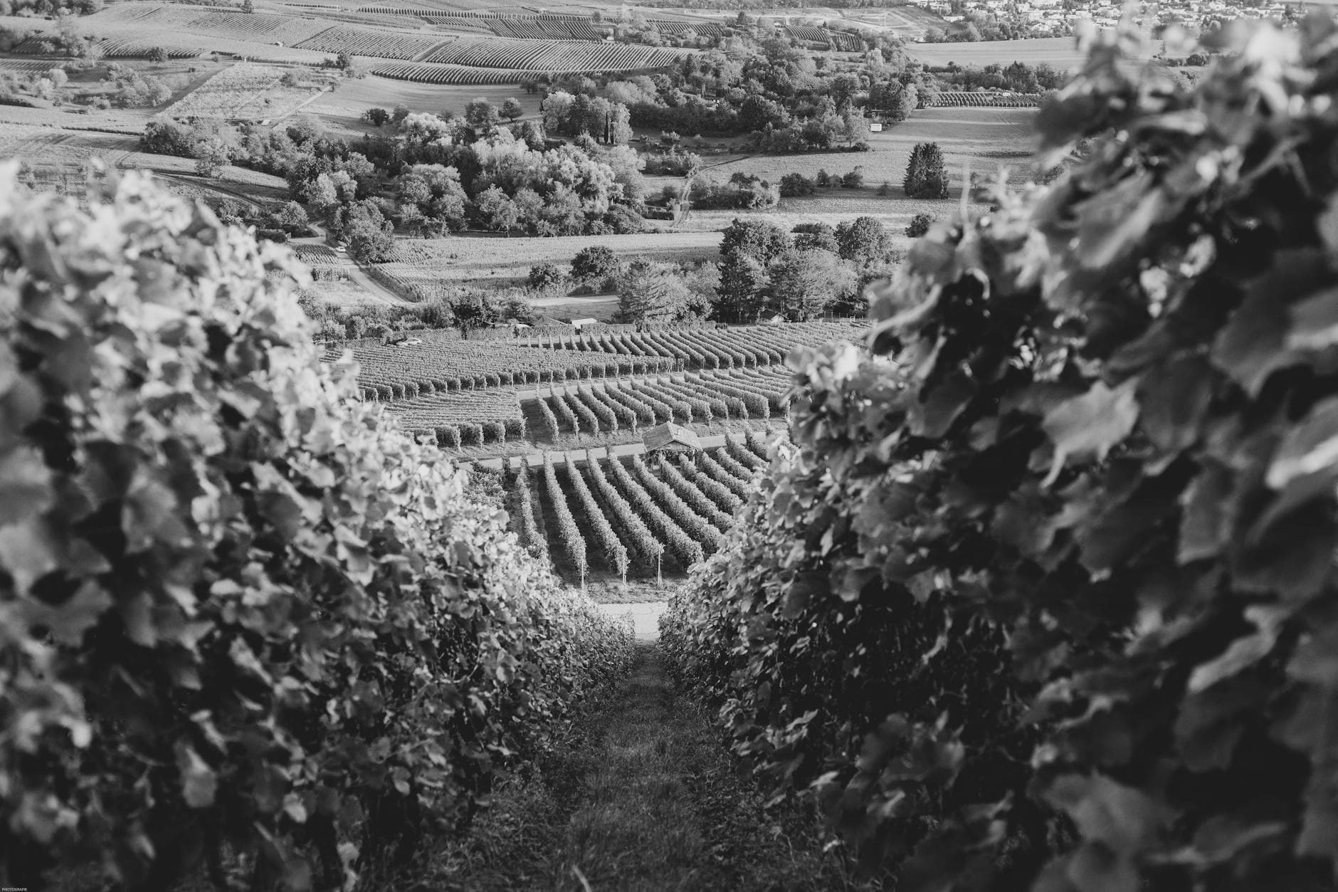 Where to Stay in Priorat Wine Country: Complete 2026 Guide