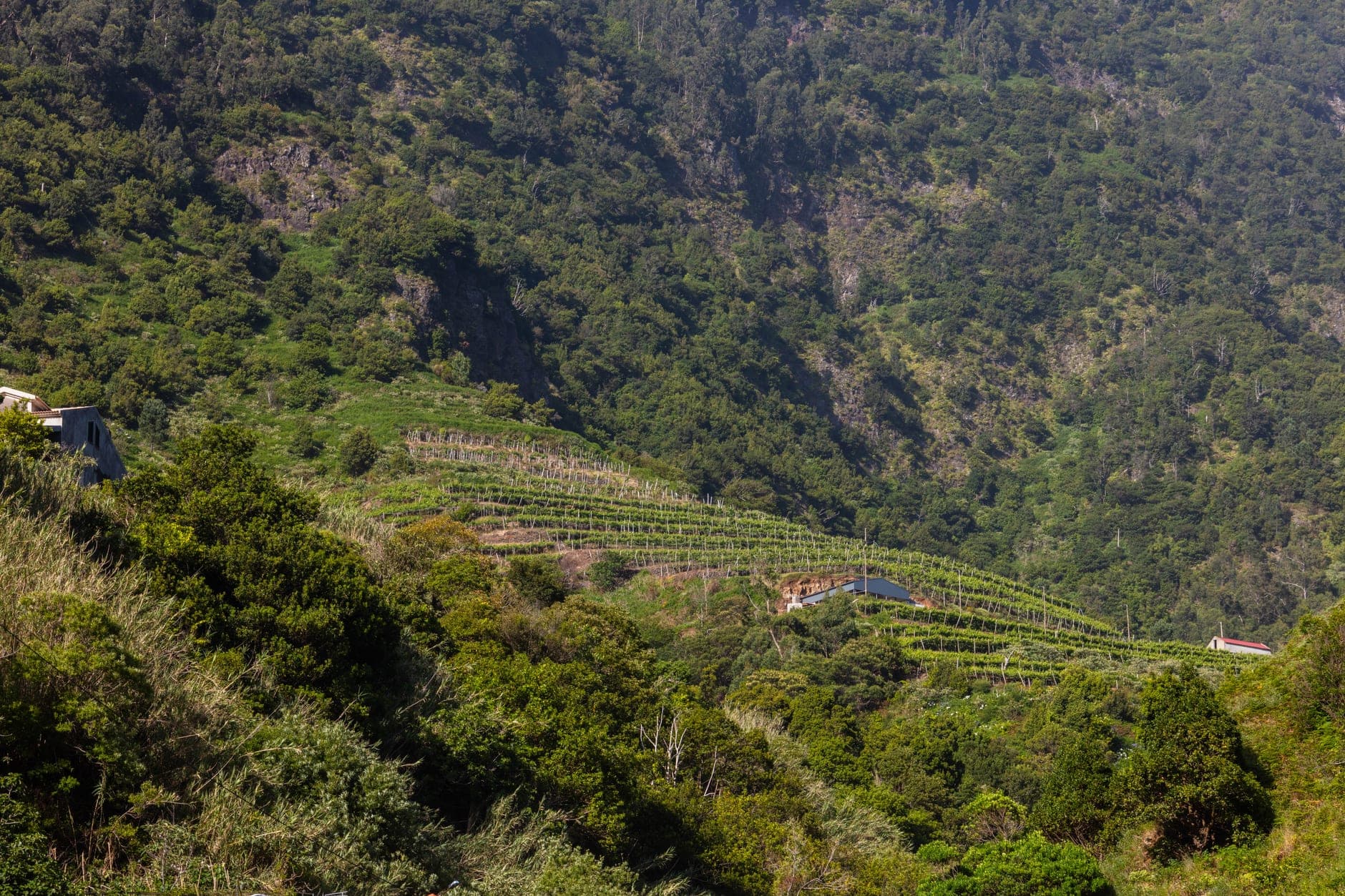 Madeira (Portugal)