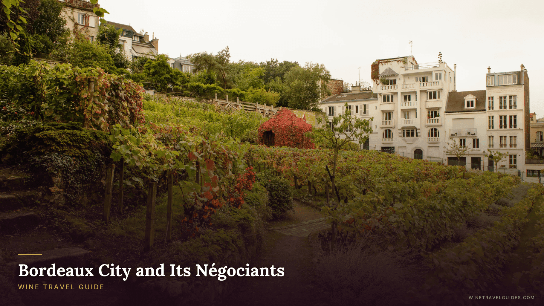 Bordeaux City and Its Négociants Wine Travel Guide (Bordeaux, France)