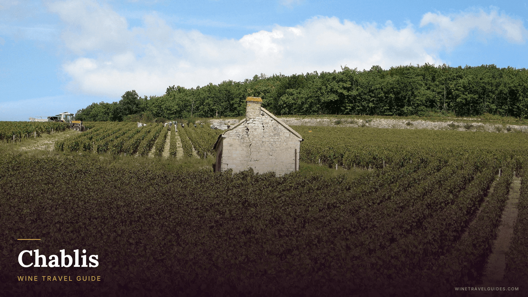 Chablis Wine Travel Guide (Burgundy, France)