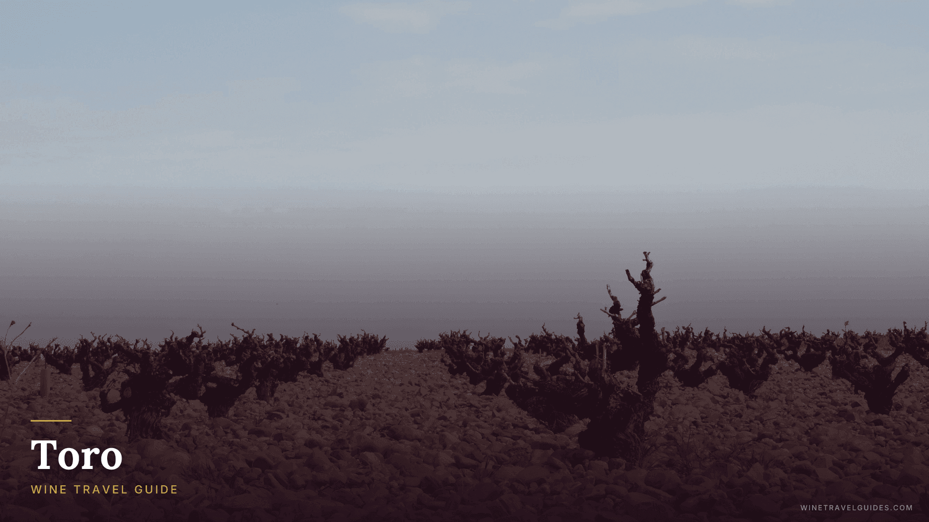 Toro Wine Travel Guide (Castilla y León, Spain)