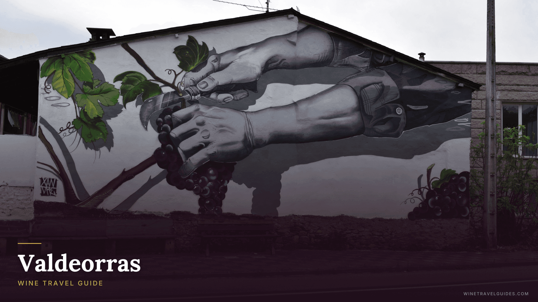 Valdeorras Wine Travel Guide (Galicia, Spain)