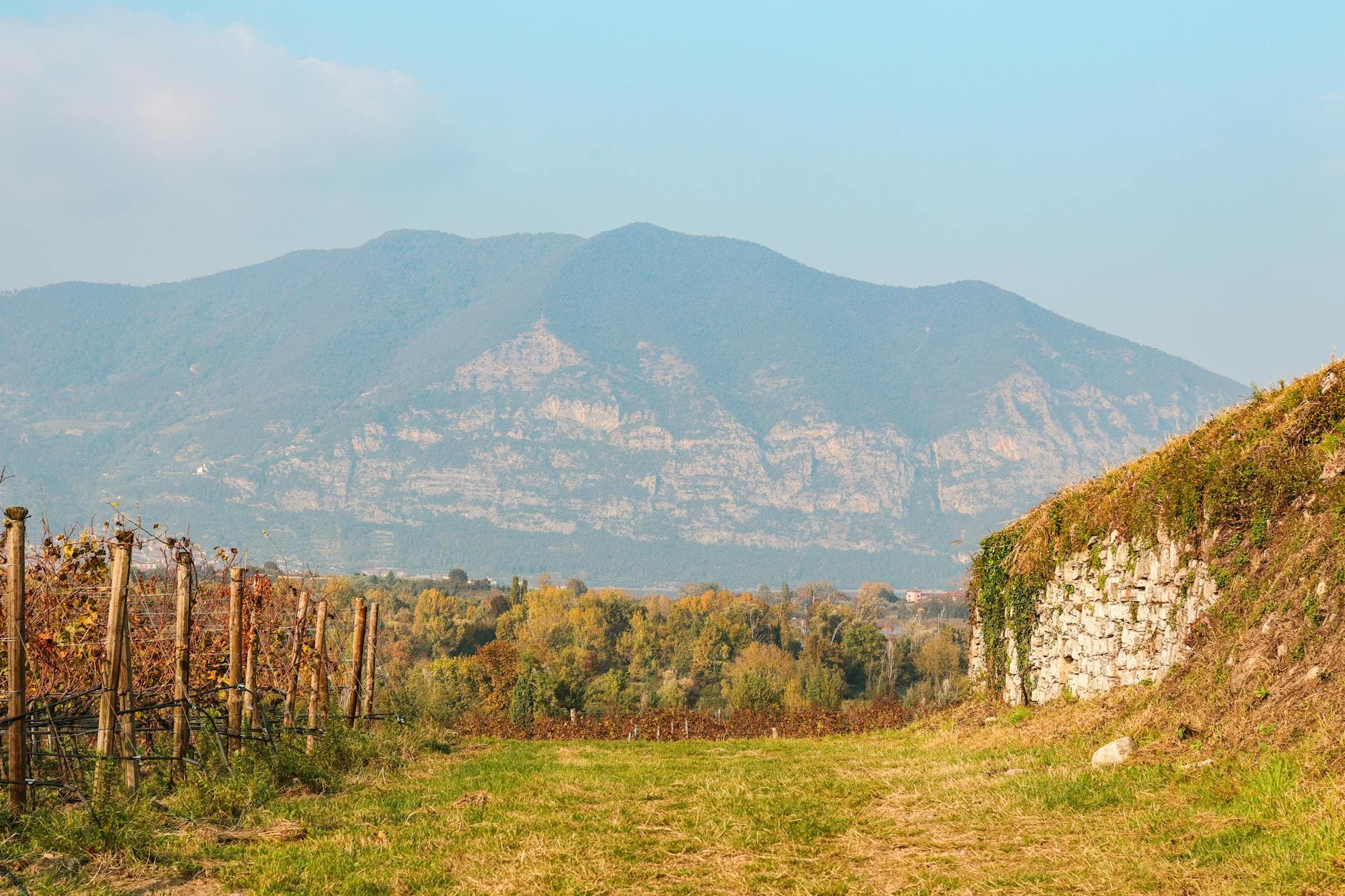 Where to Stay in Sardinia Wine Country: Complete 2026 Guide