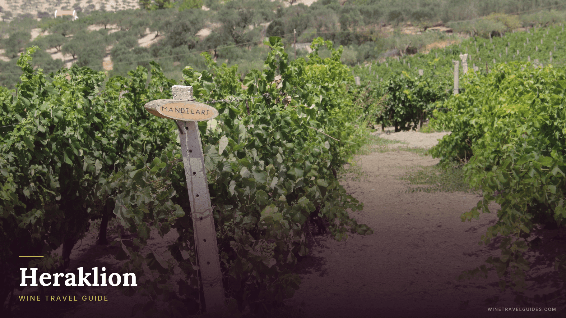 Heraklion Wine Travel Guide (Crete, Greece)