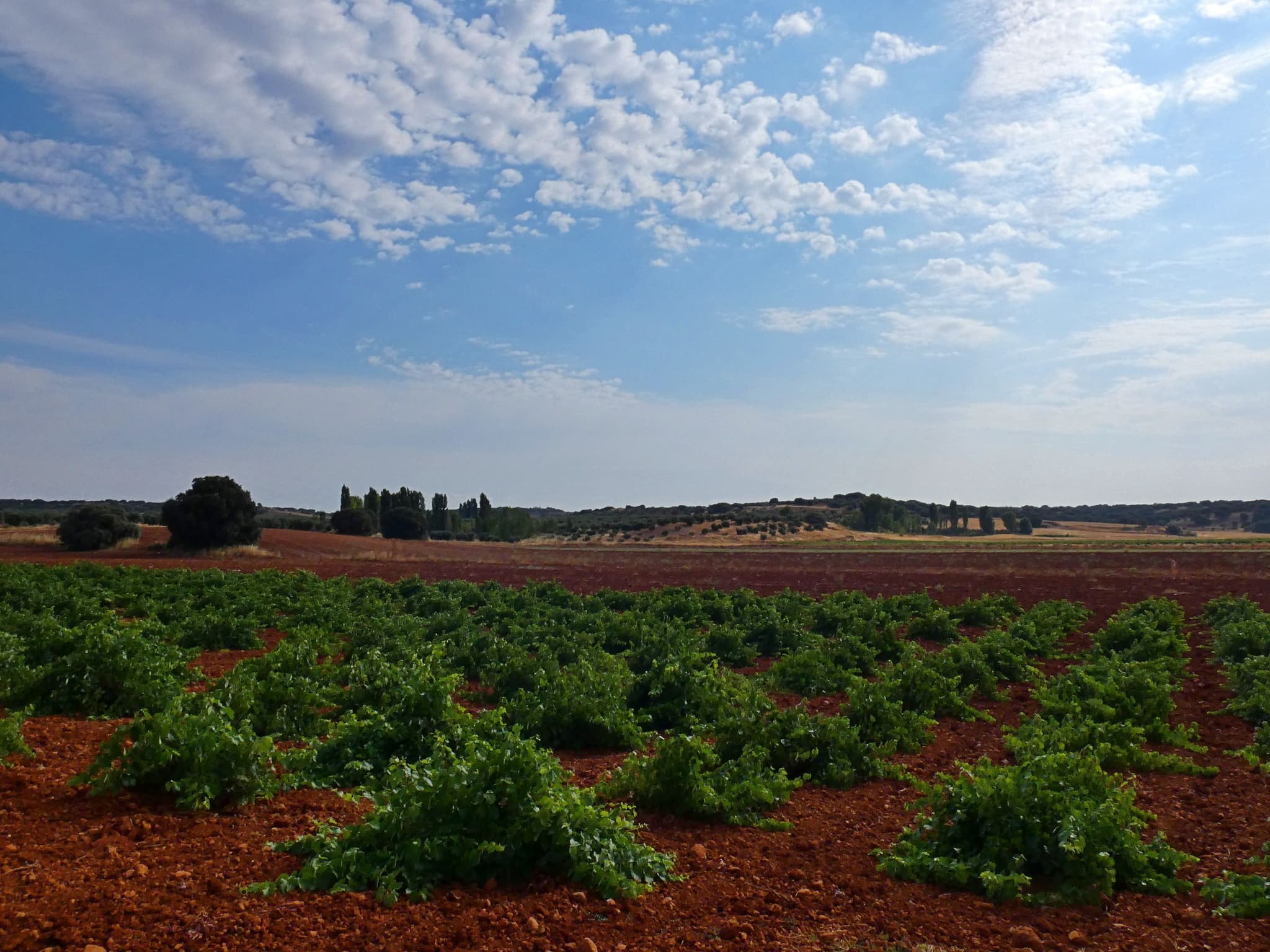 Castilla-La Mancha