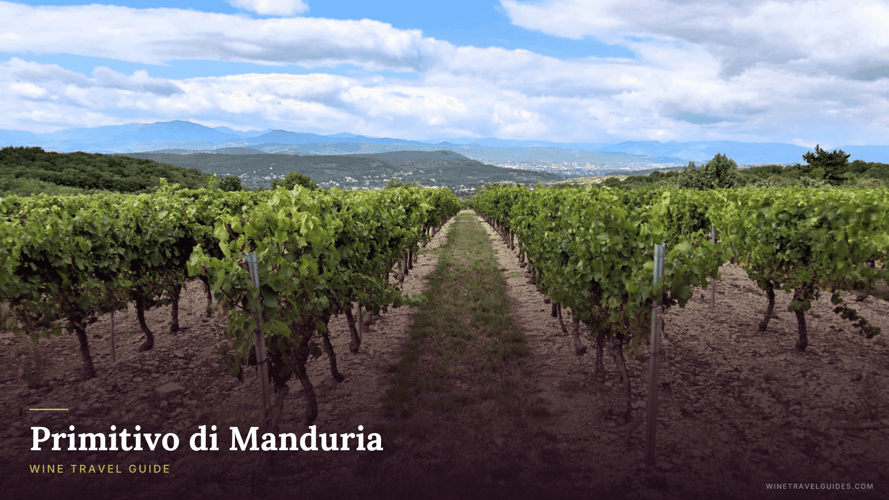 Primitivo di Manduria Wine Travel Guide (Puglia, Italy)