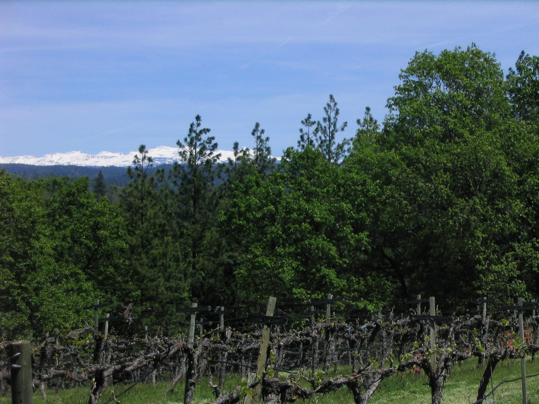 Sierra Foothills Wine Travel Guide (California, United States)