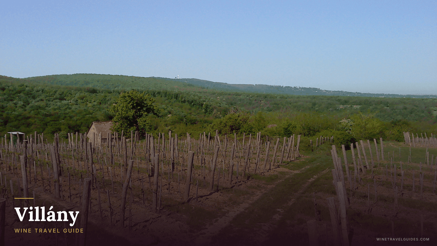 Villány Wine Travel Guide (Villány, Hungary)