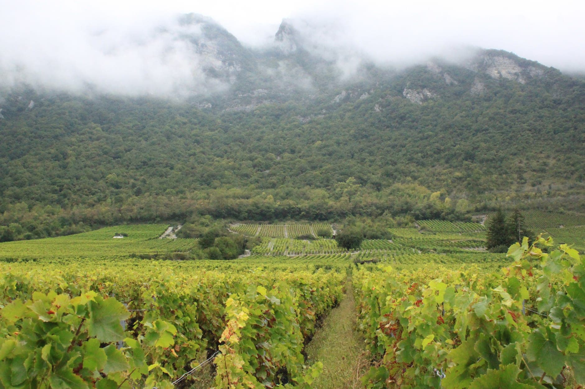 Savoie (France)