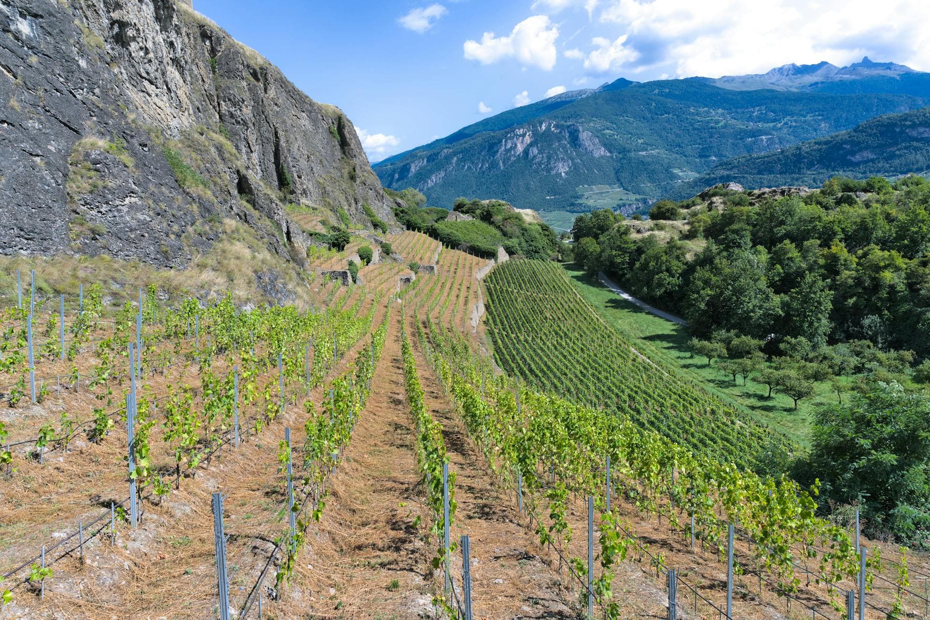 Where to Stay in Valais Wine Country: Complete 2026 Guide