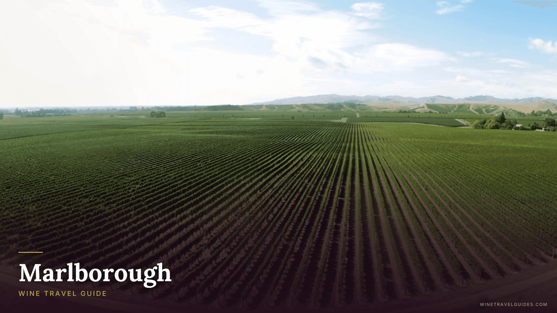 Marlborough Wine Travel Guide (South Island, New Zealand)