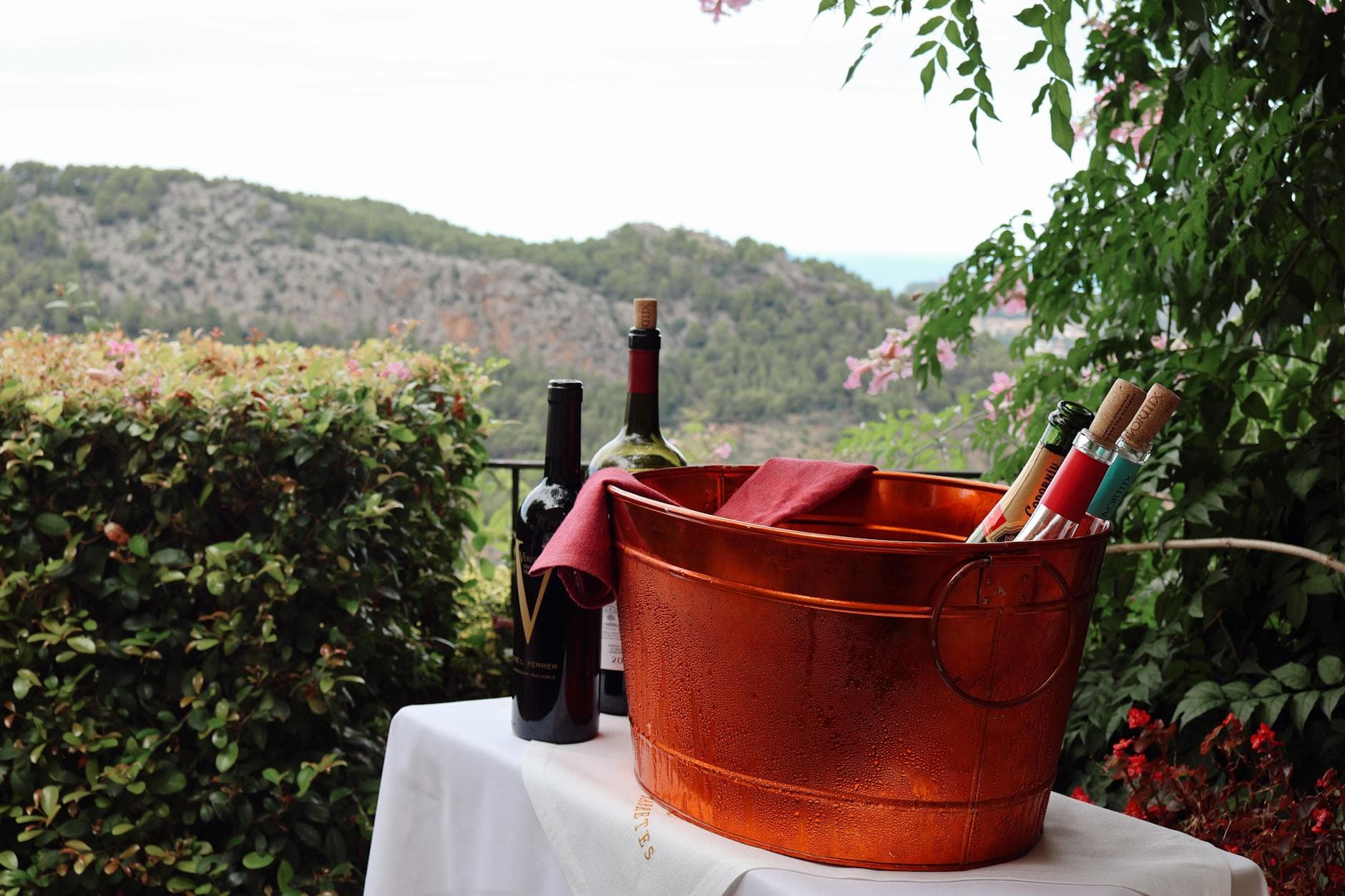 10 Days New Zealand Wine Touring — Marlborough to Central Otago