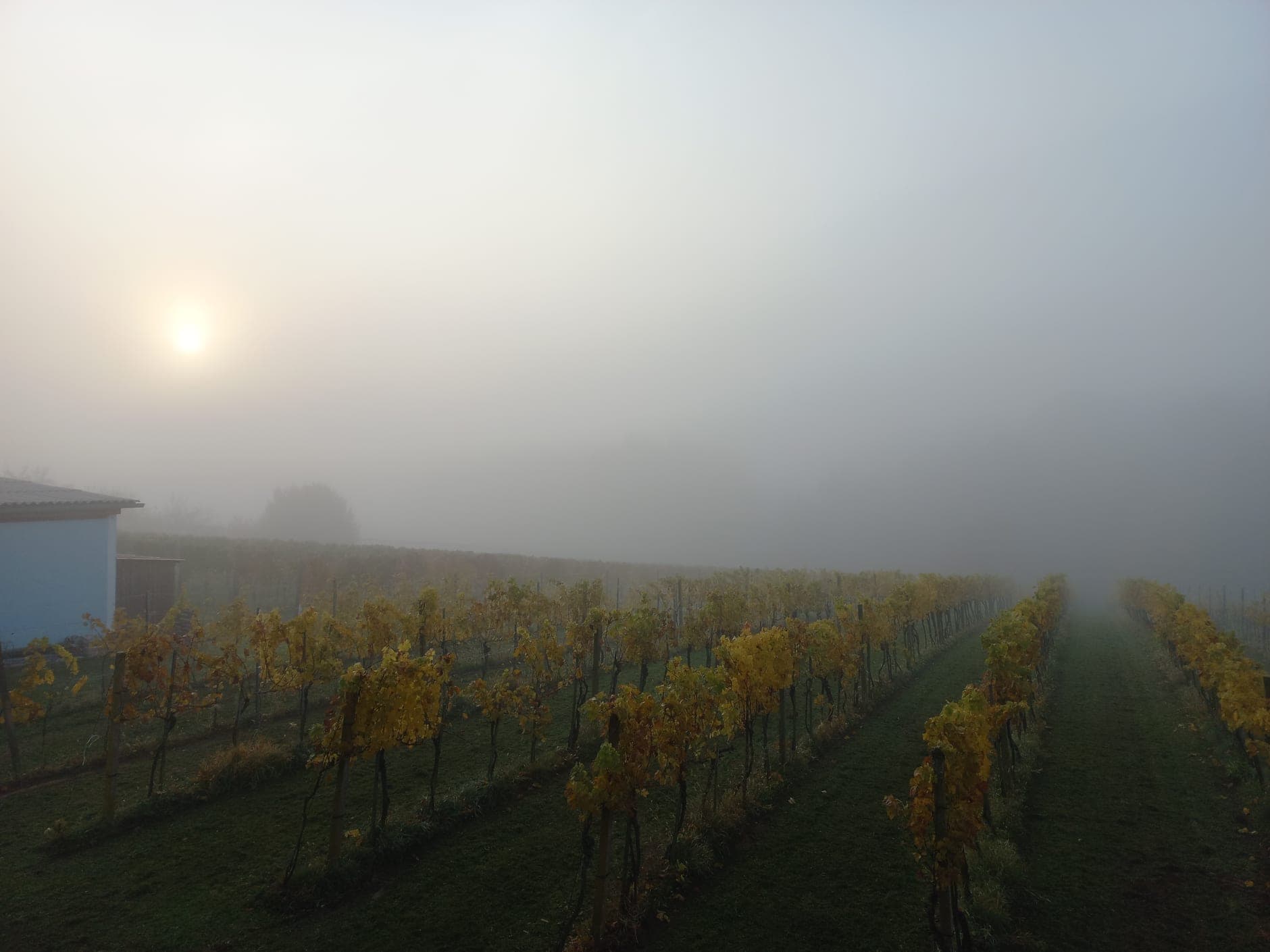 Steiermark (Austria)