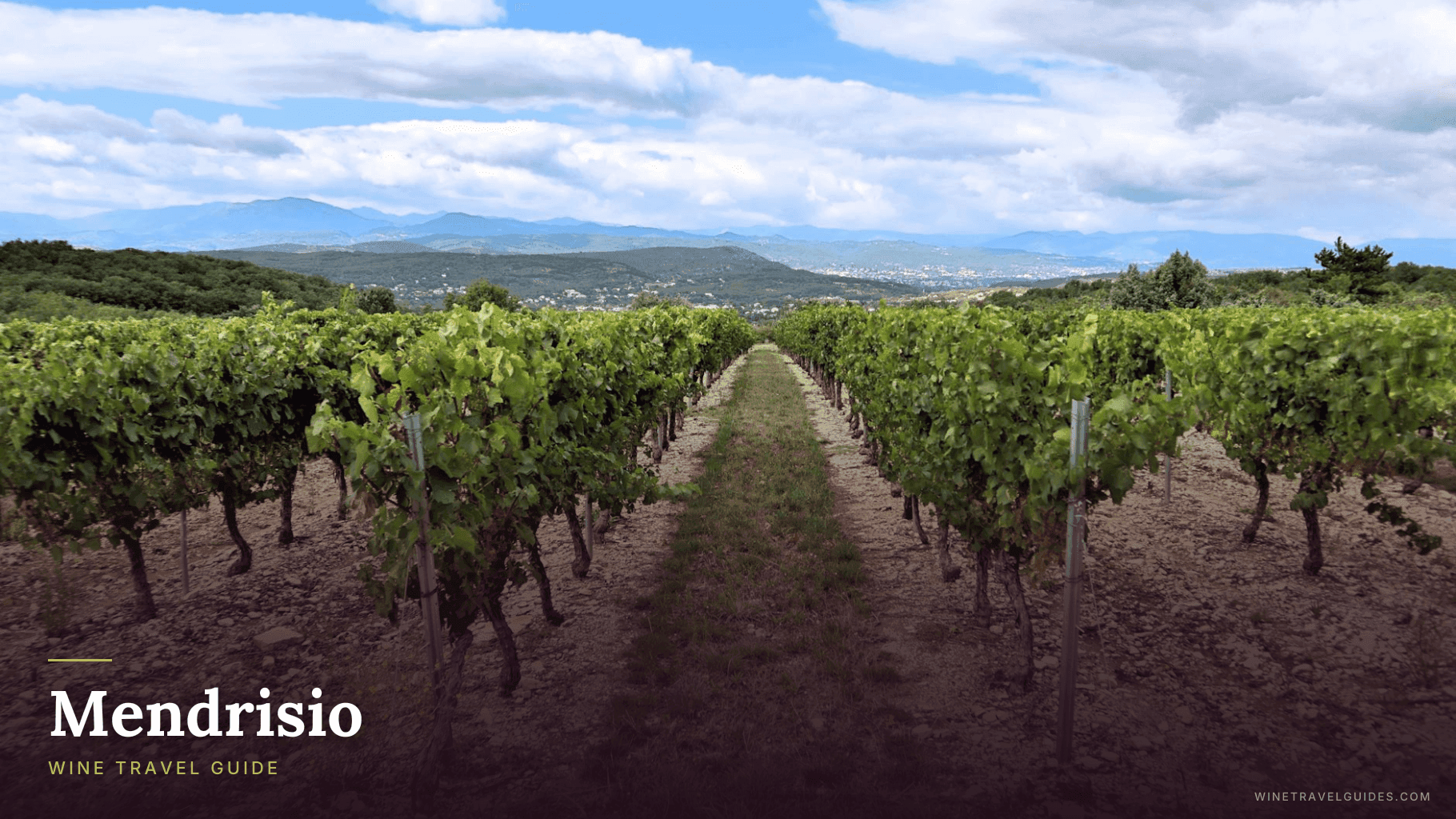 Mendrisio Wine Travel Guide (Ticino, Switzerland)