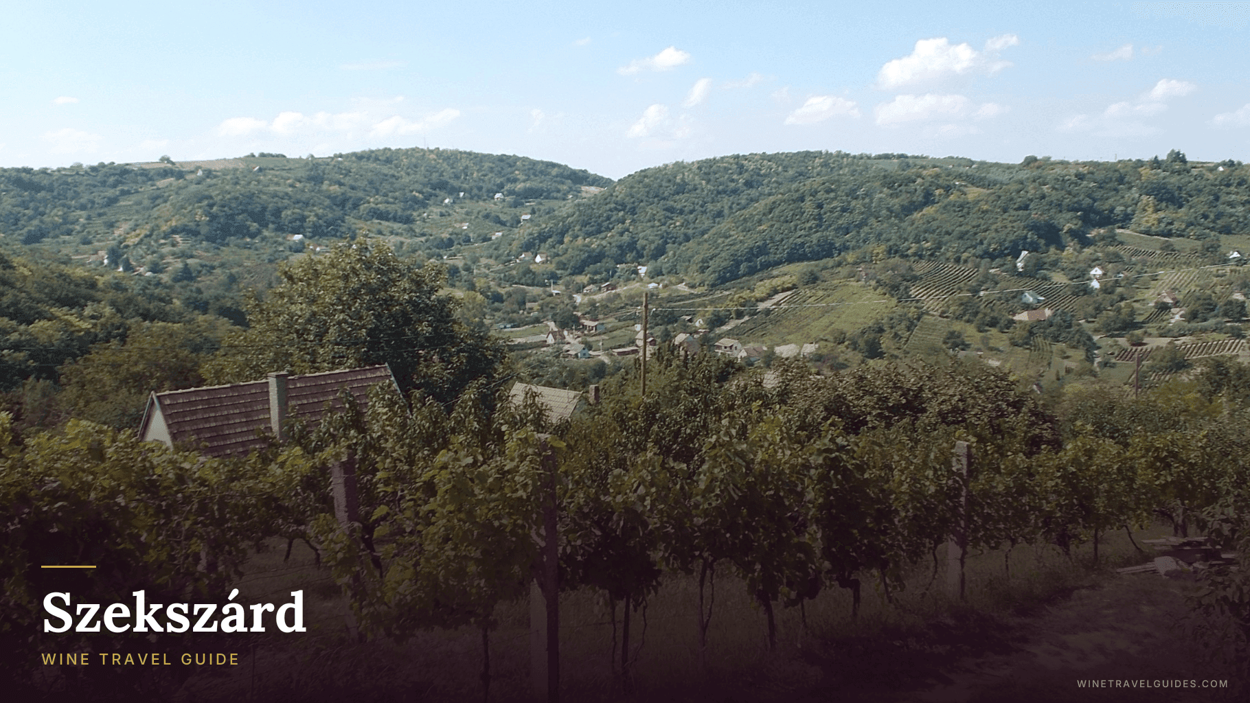 Szekszárd Wine Travel Guide (Szekszárd, Hungary)