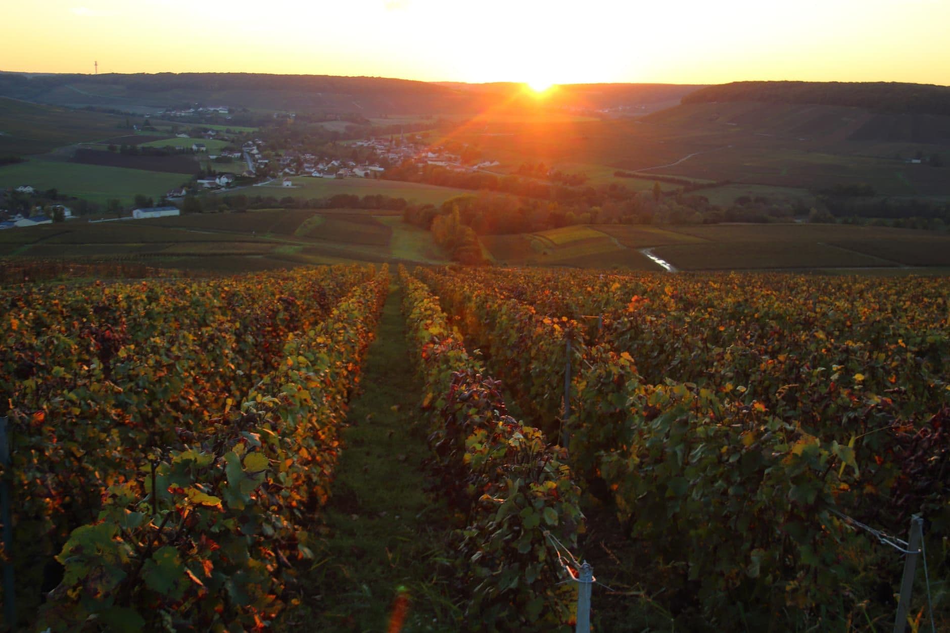 Champagne (France)