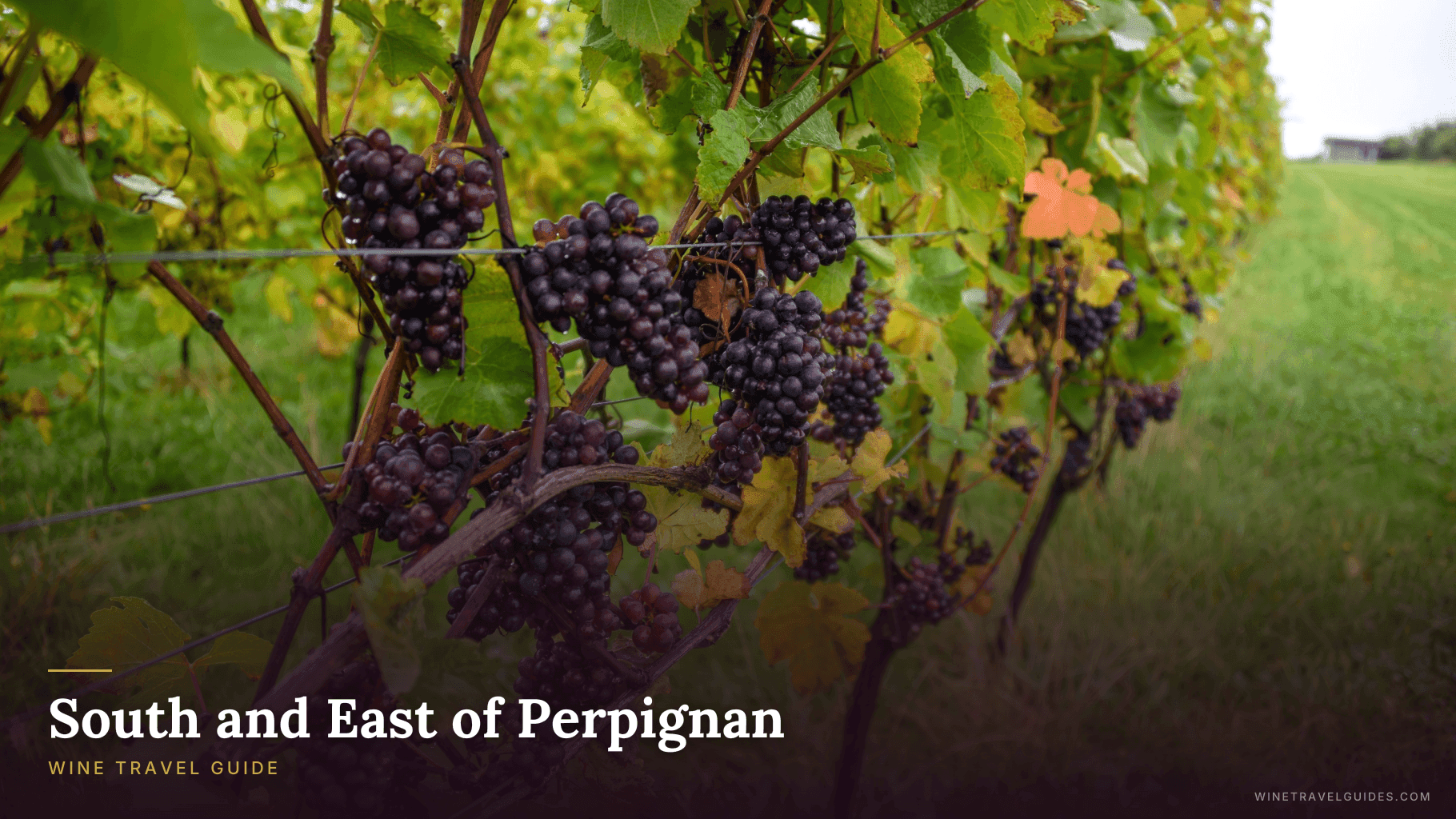 South and East of Perpignan Wine Travel Guide (Languedoc-Roussillon, France)