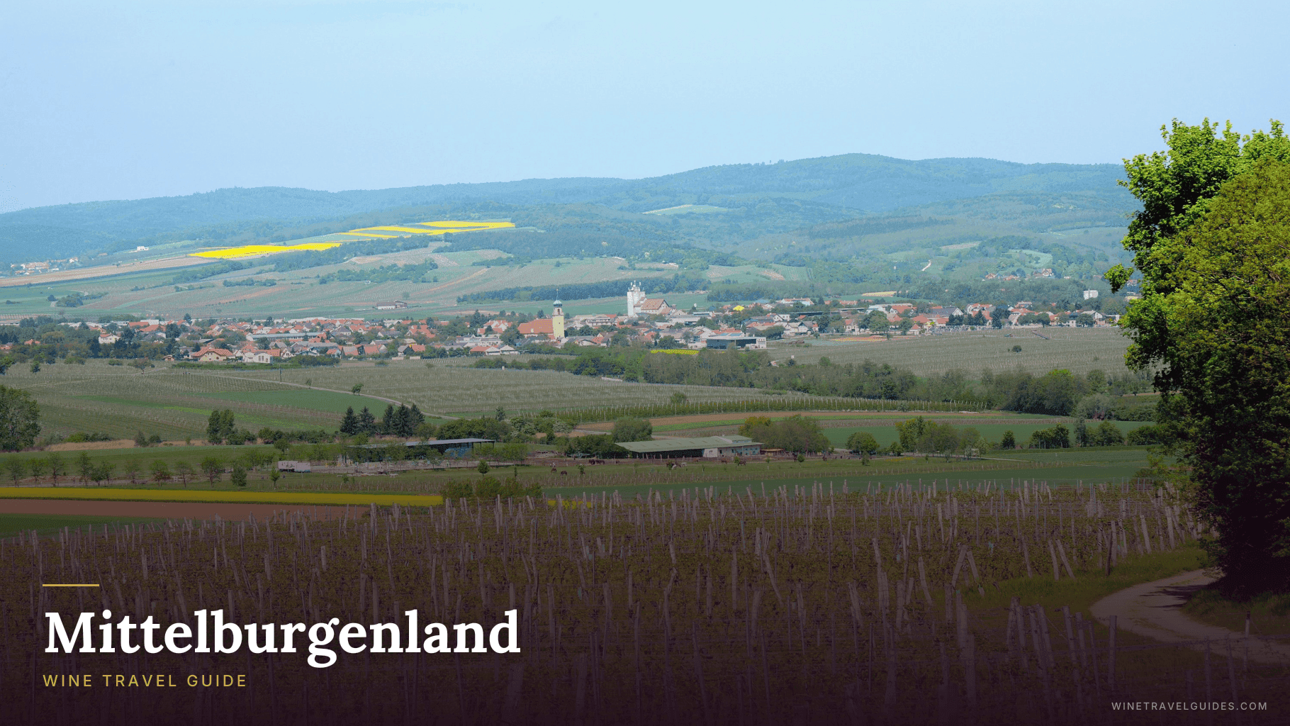 Mittelburgenland Wine Travel Guide (Burgenland, Austria)