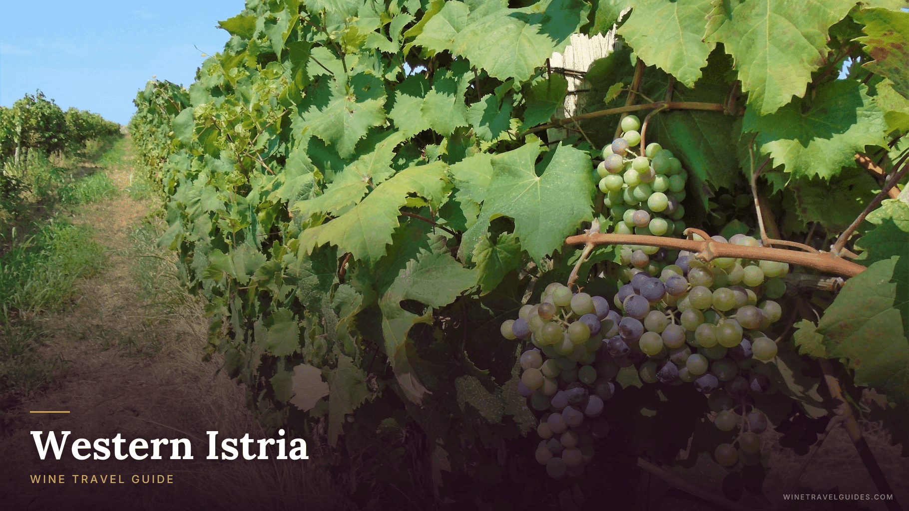 Western Istria Wine Travel Guide (Istria, Croatia)