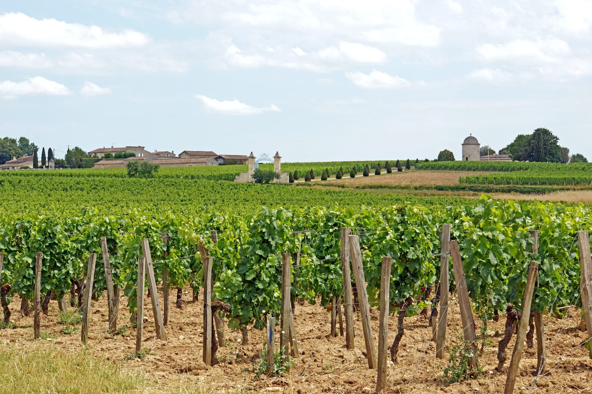 Saint-Émilion and Area Wine Travel Guide (Bordeaux, France)