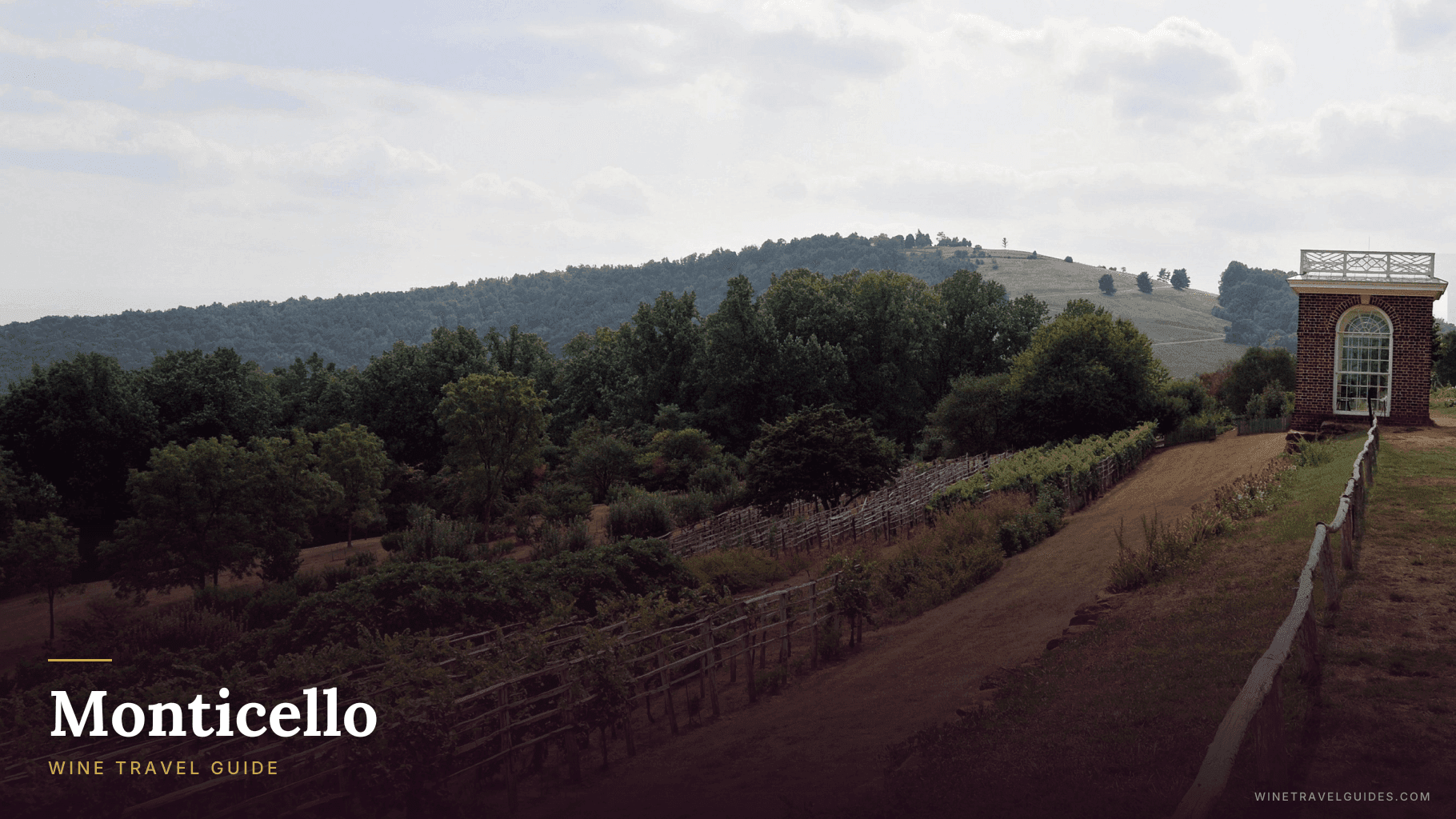 Monticello Wine Travel Guide (Virginia, United States)