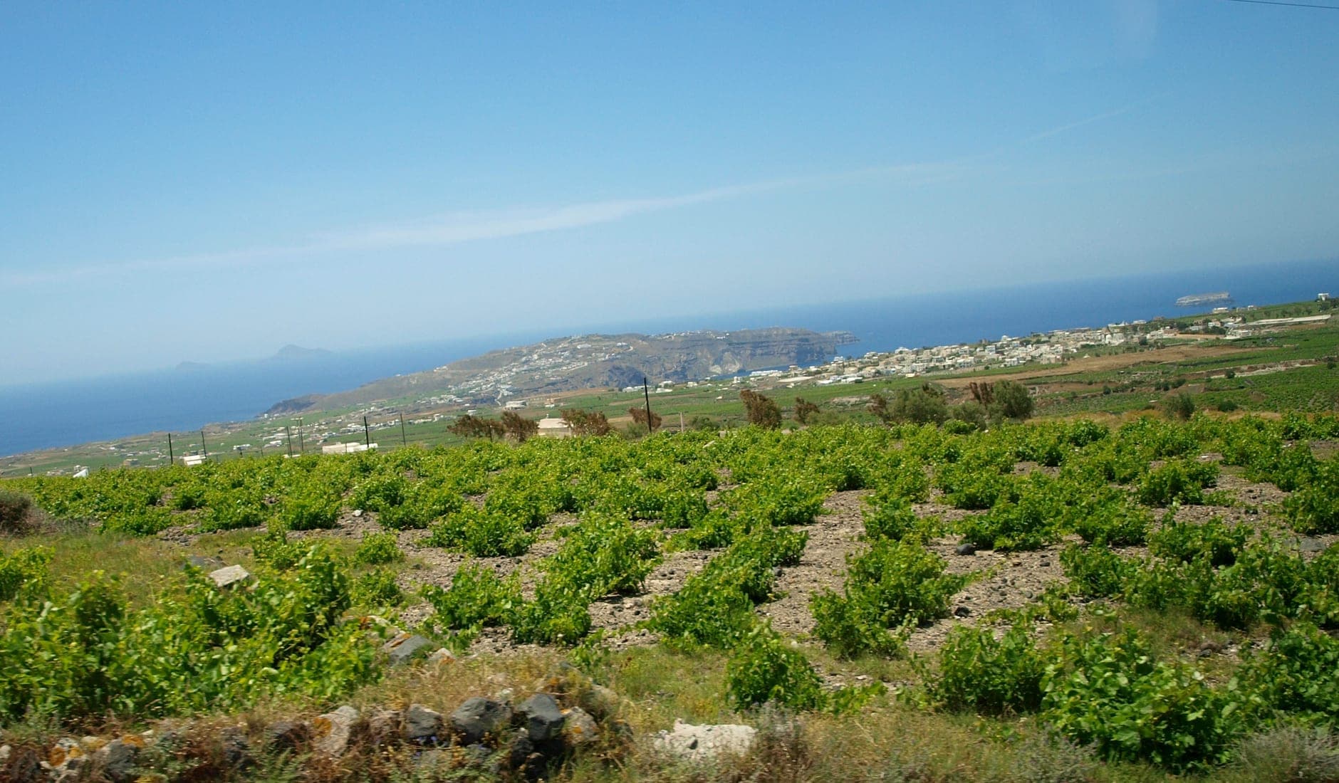 Santorini Wine Travel Guide (Aegean Islands, Greece)