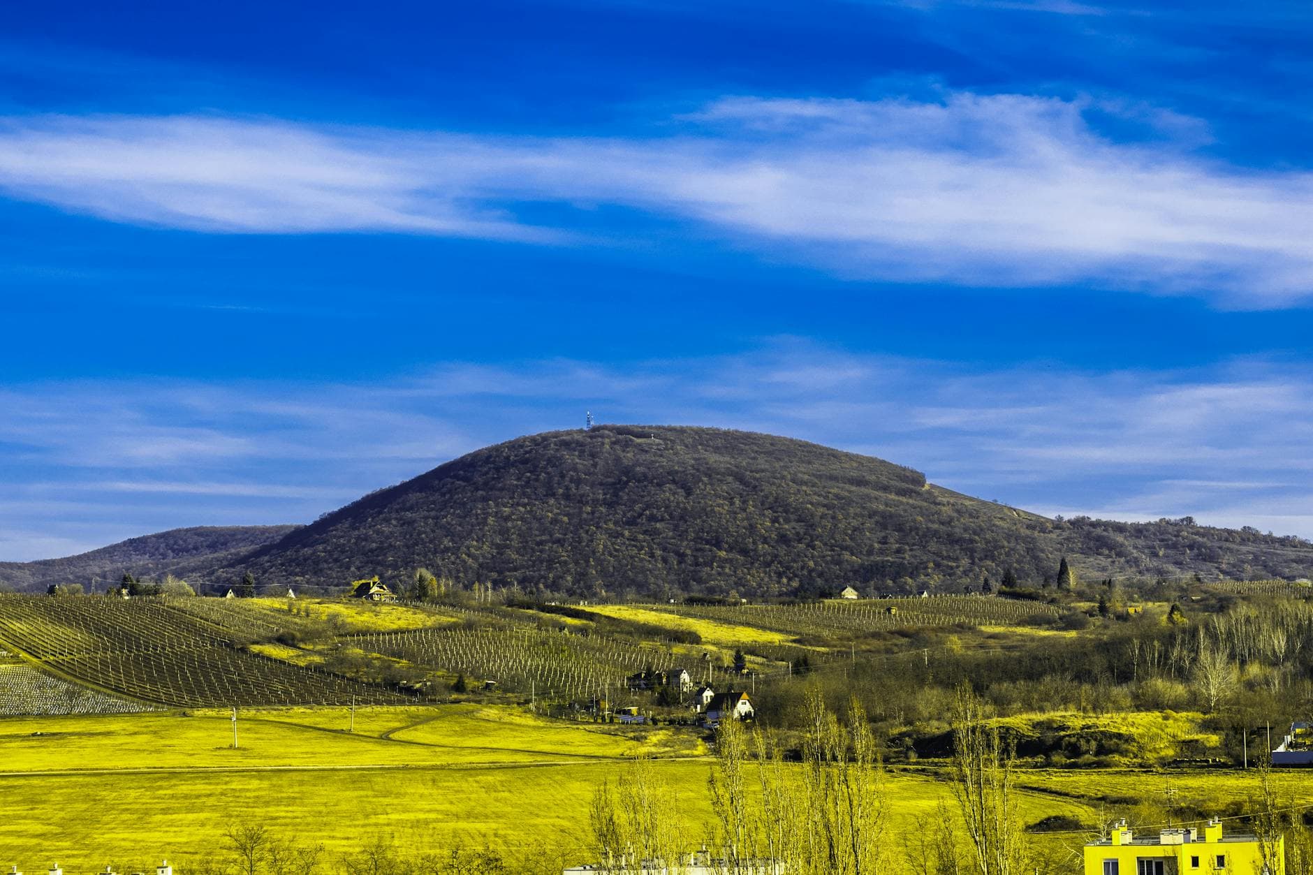 Hungary's Hidden Wine Triangle: Szekszárd, Villány & Badacsony Compared