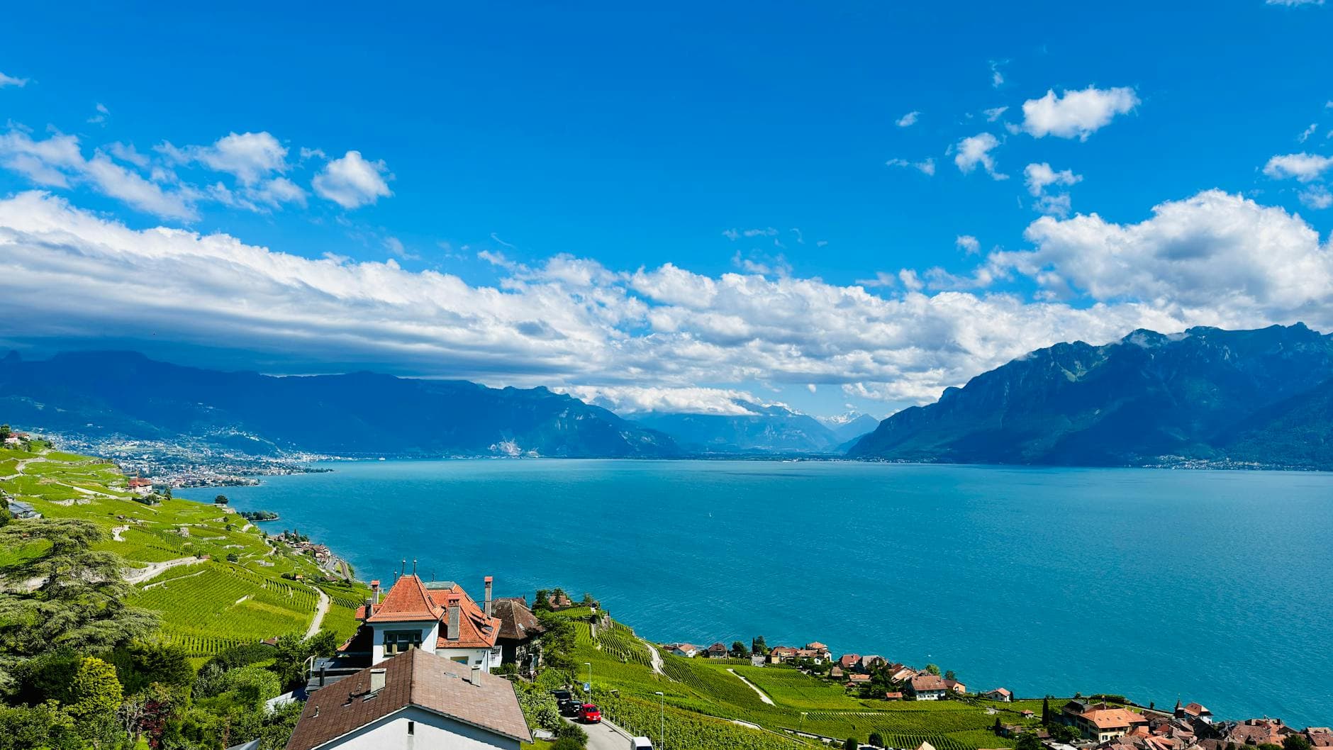 Switzerland Wine Guide: Regions, Grapes & Best Wineries to Visit