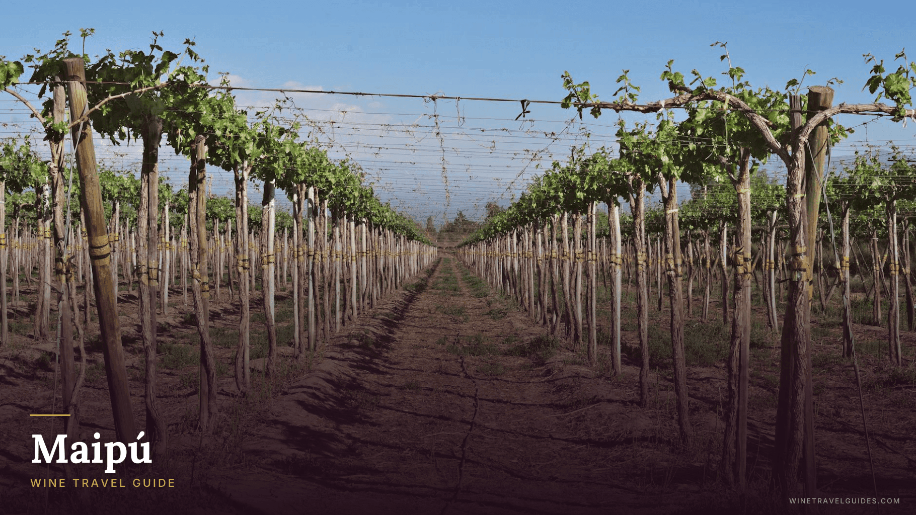 Maipú Wine Travel Guide (Mendoza, Argentina)