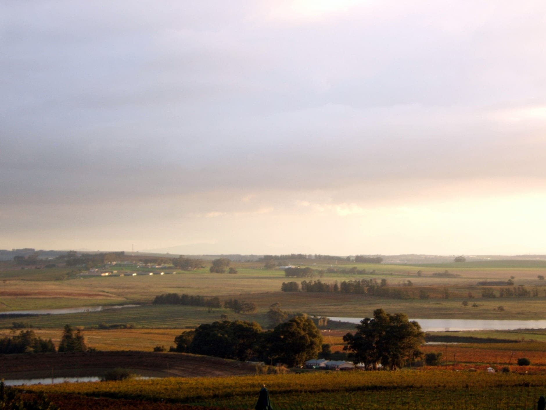 Paarl Wine Travel Guide (Western Cape, South Africa)