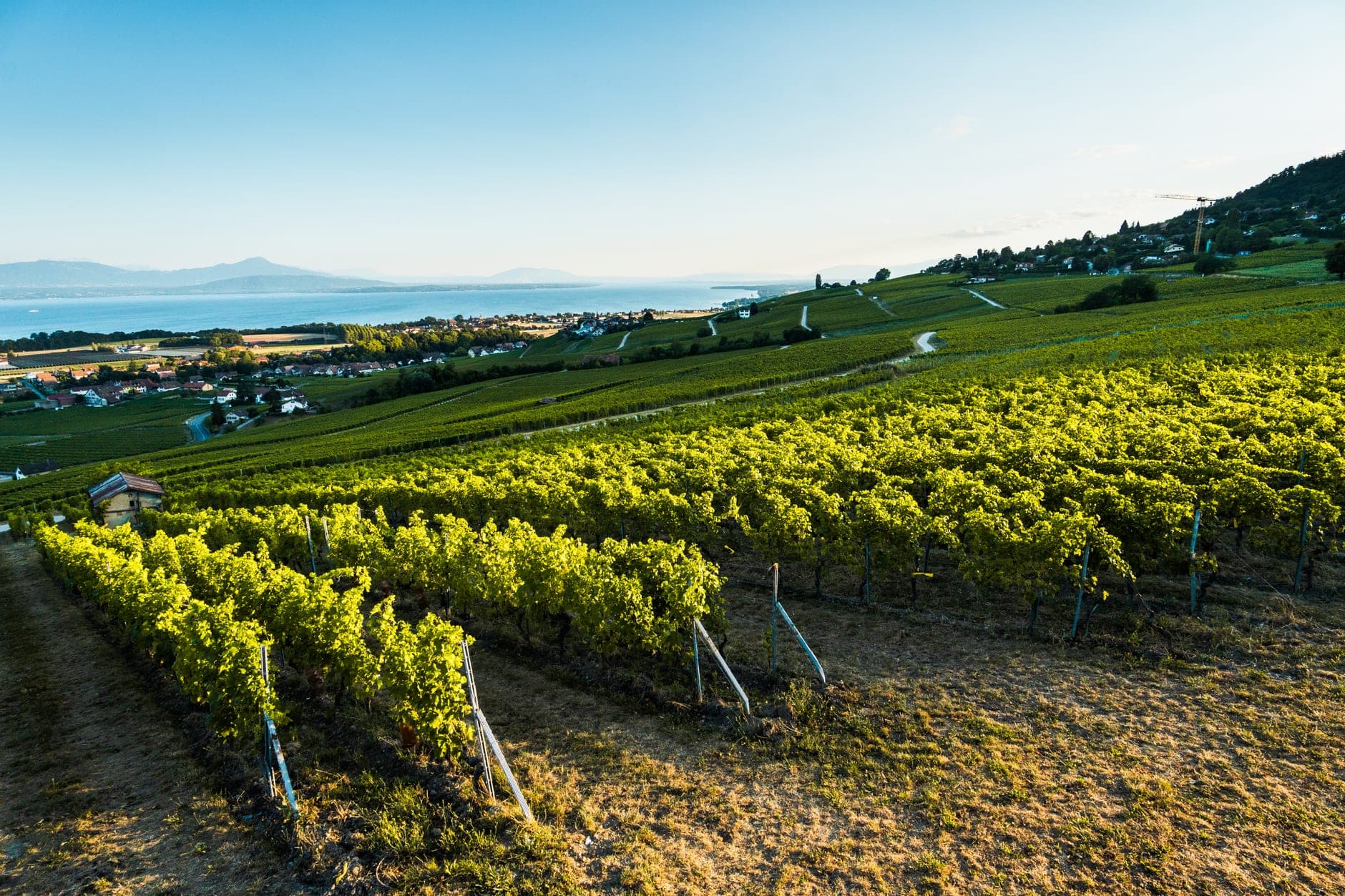 Geneva (Switzerland)