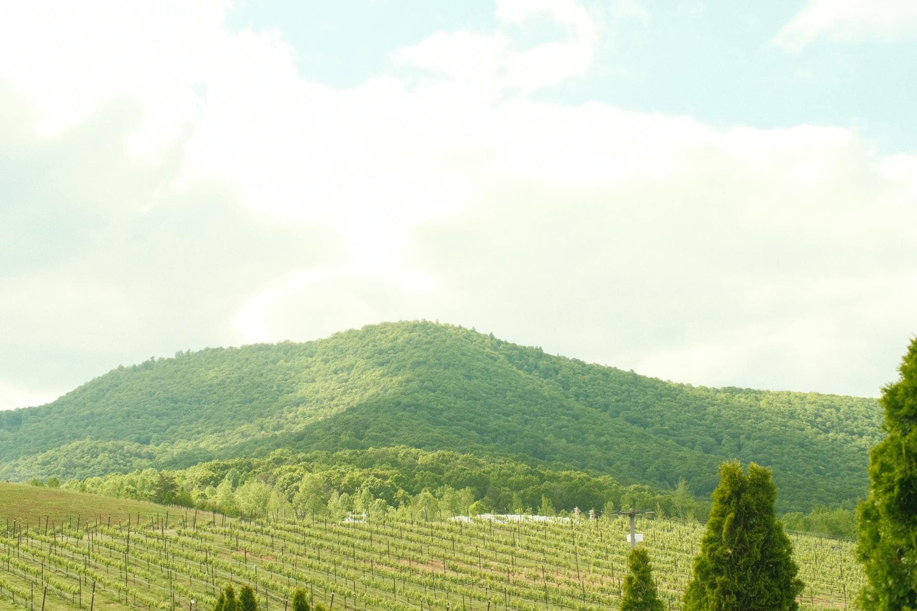 Where to Stay in Kakheti, Georgia: Complete 2026 Guide