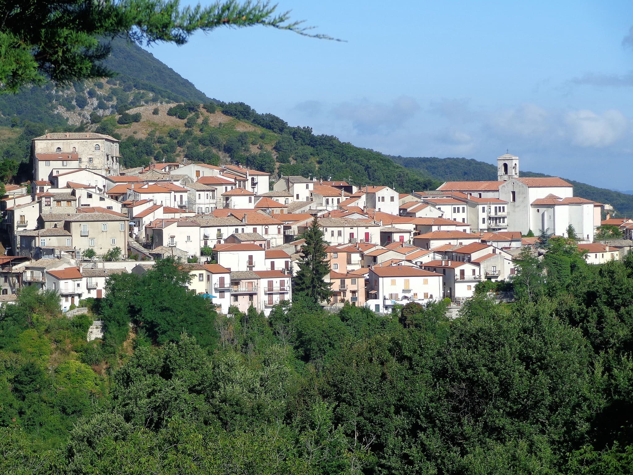 Taurasi Wine Travel Guide (Campania, Italy)