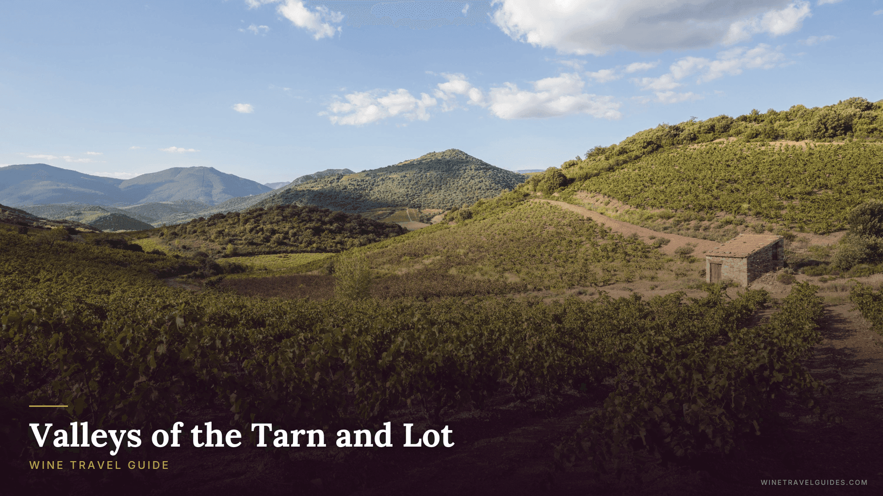 Valleys of the Tarn and Lot Wine Travel Guide (South-West France)