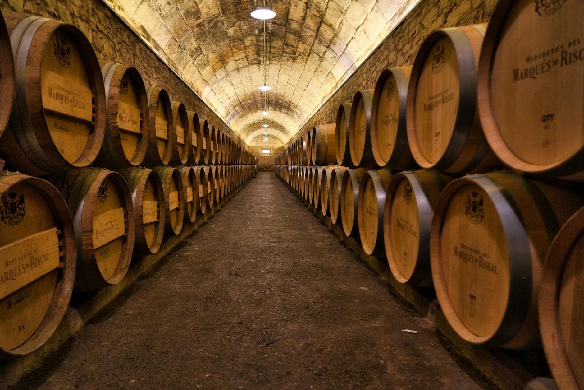 7 Days in Austrian Wine Country — Wachau, Burgenland, Vienna