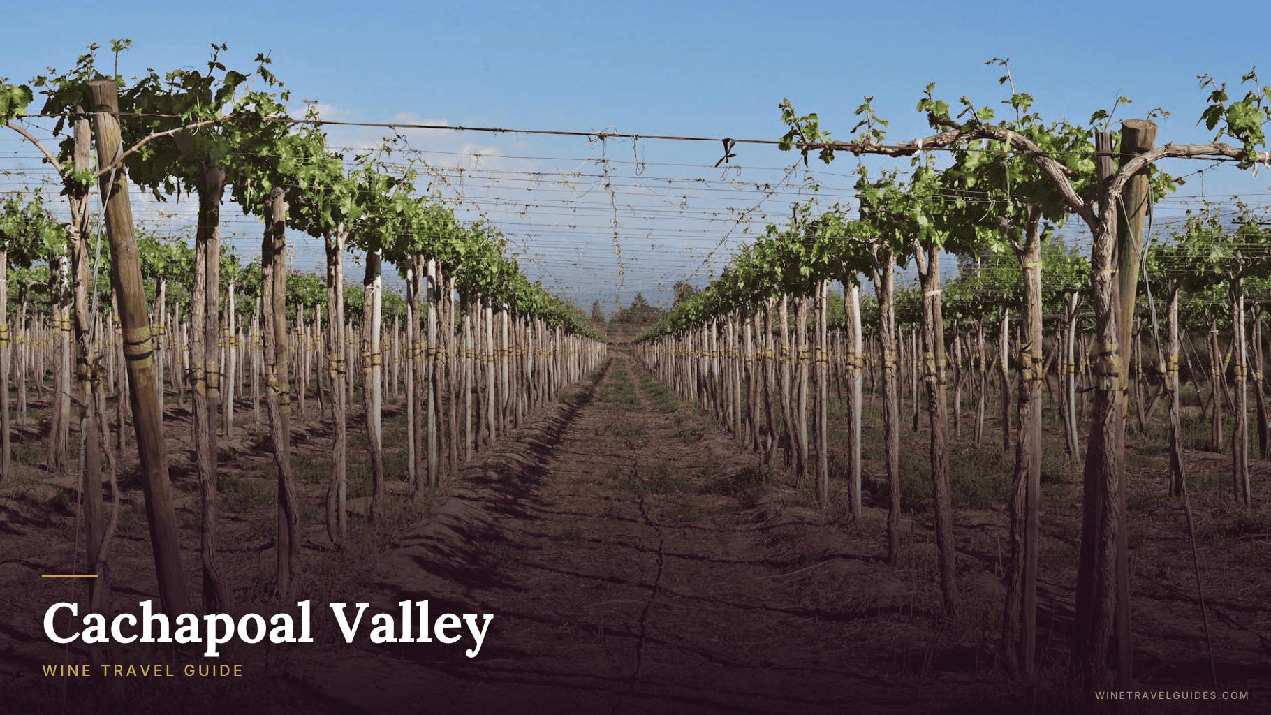 Cachapoal Valley Wine Travel Guide (Central Valley, Chile)