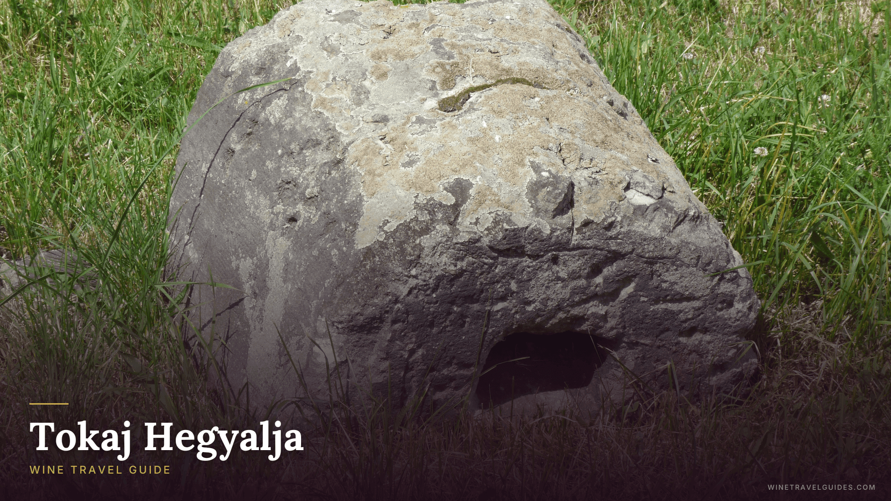 Tokaj Hegyalja Wine Travel Guide (Tokaj, Hungary)