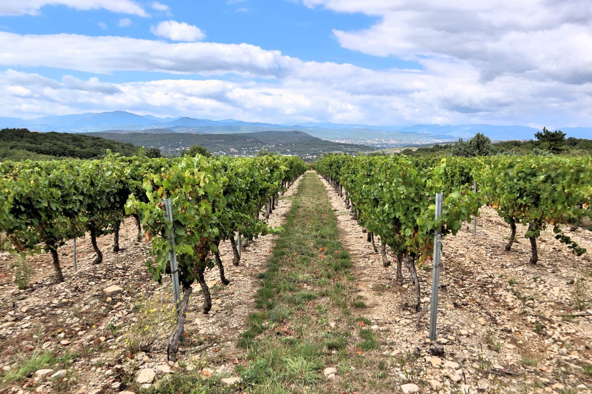 Mendrisio Wine Travel Guide (Ticino, Switzerland)