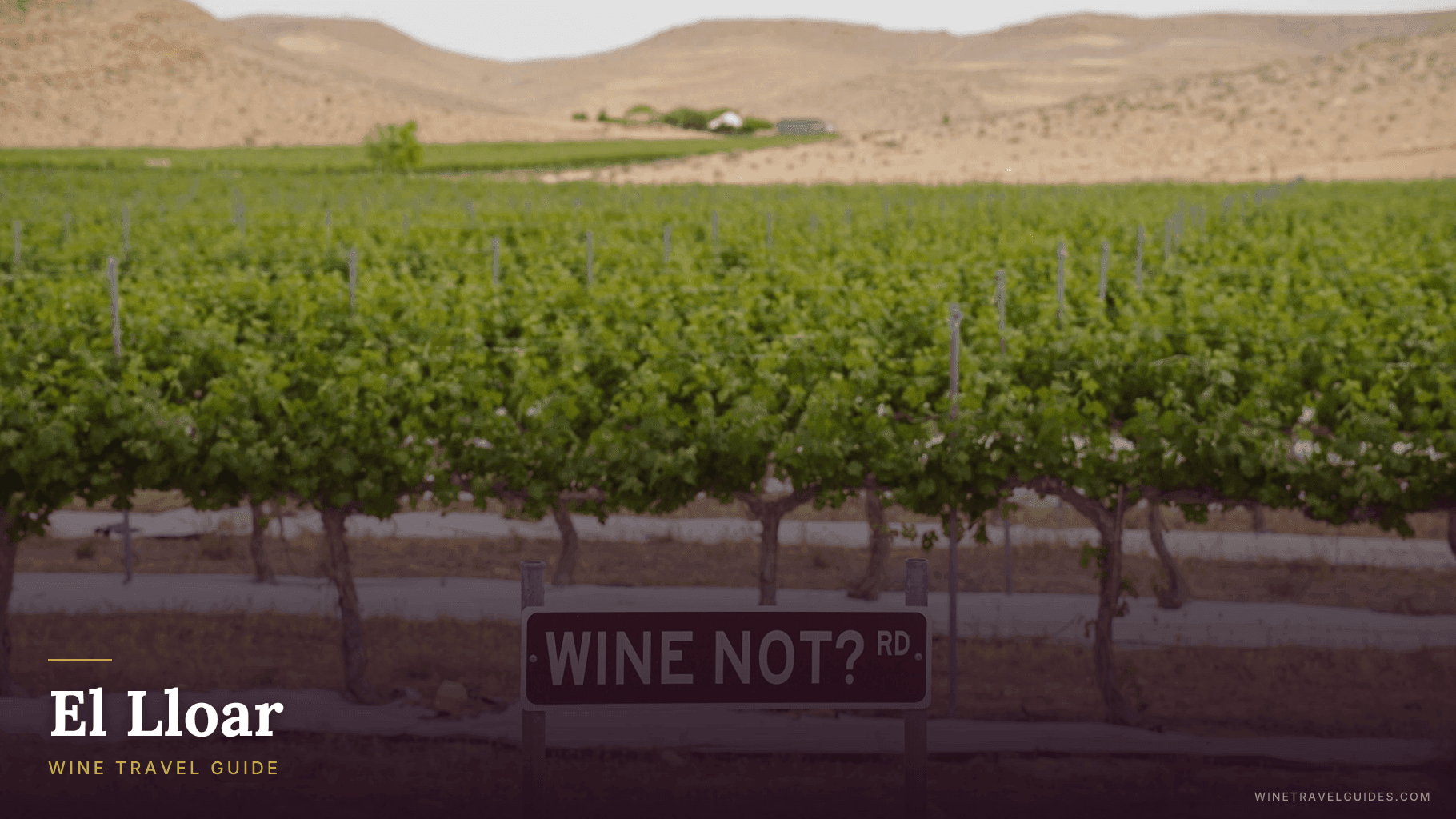 El Lloar Wine Travel Guide (Priorat, Spain)