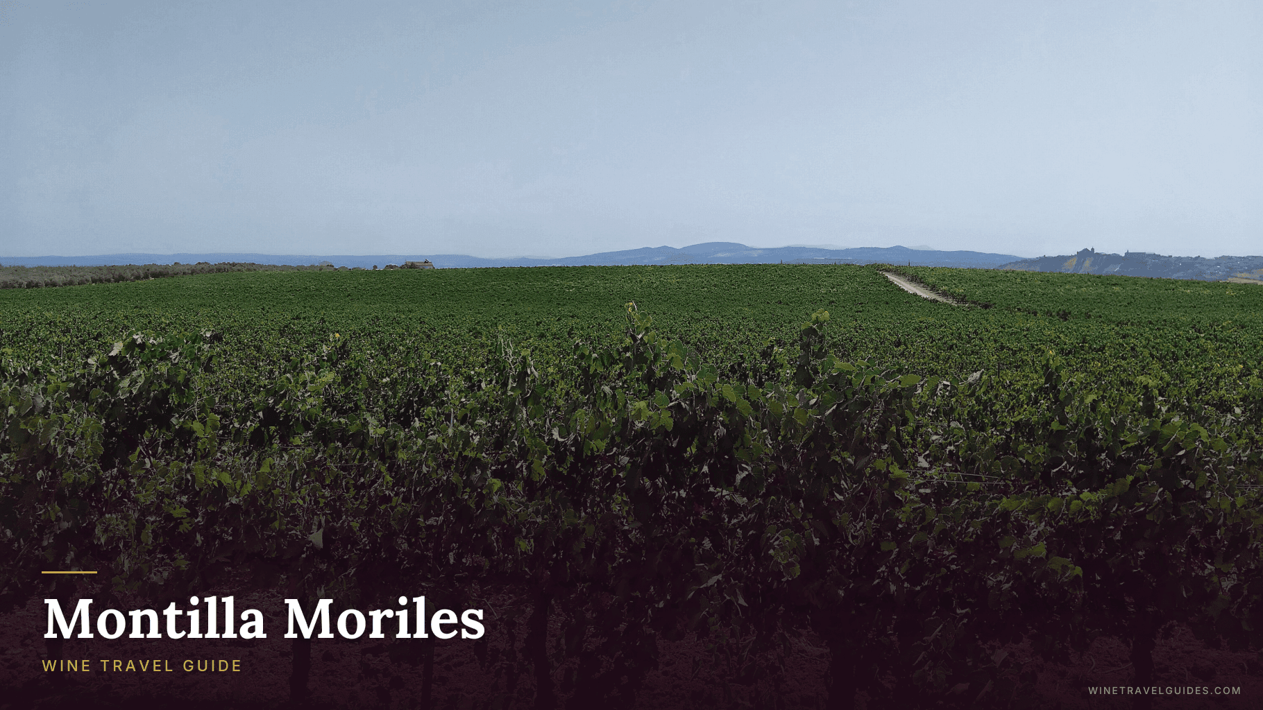 Montilla Moriles Wine Travel Guide (Andalusia, Spain)