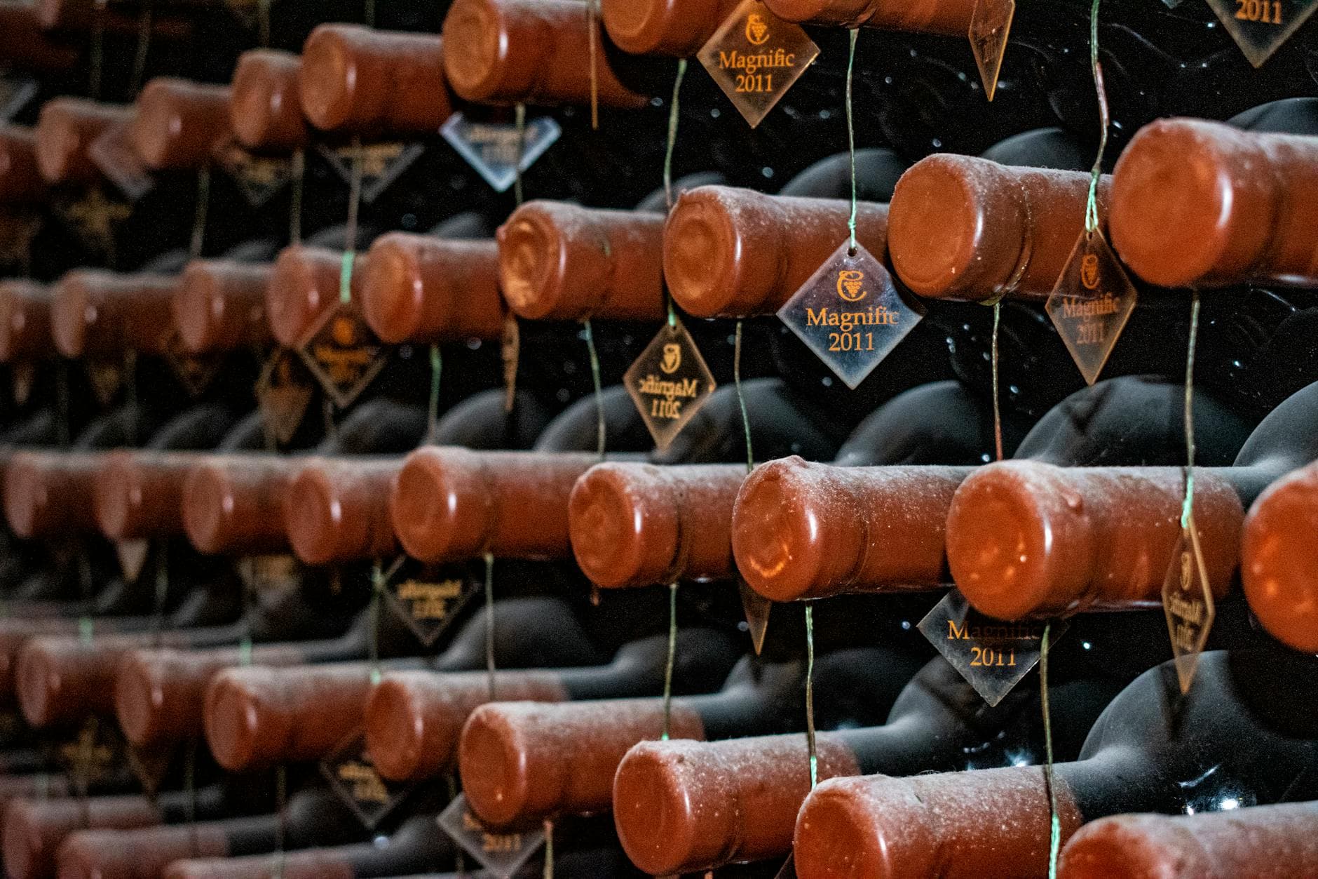 How to Do a Self-Drive Wine Tour — Routes, Insurance, Tips