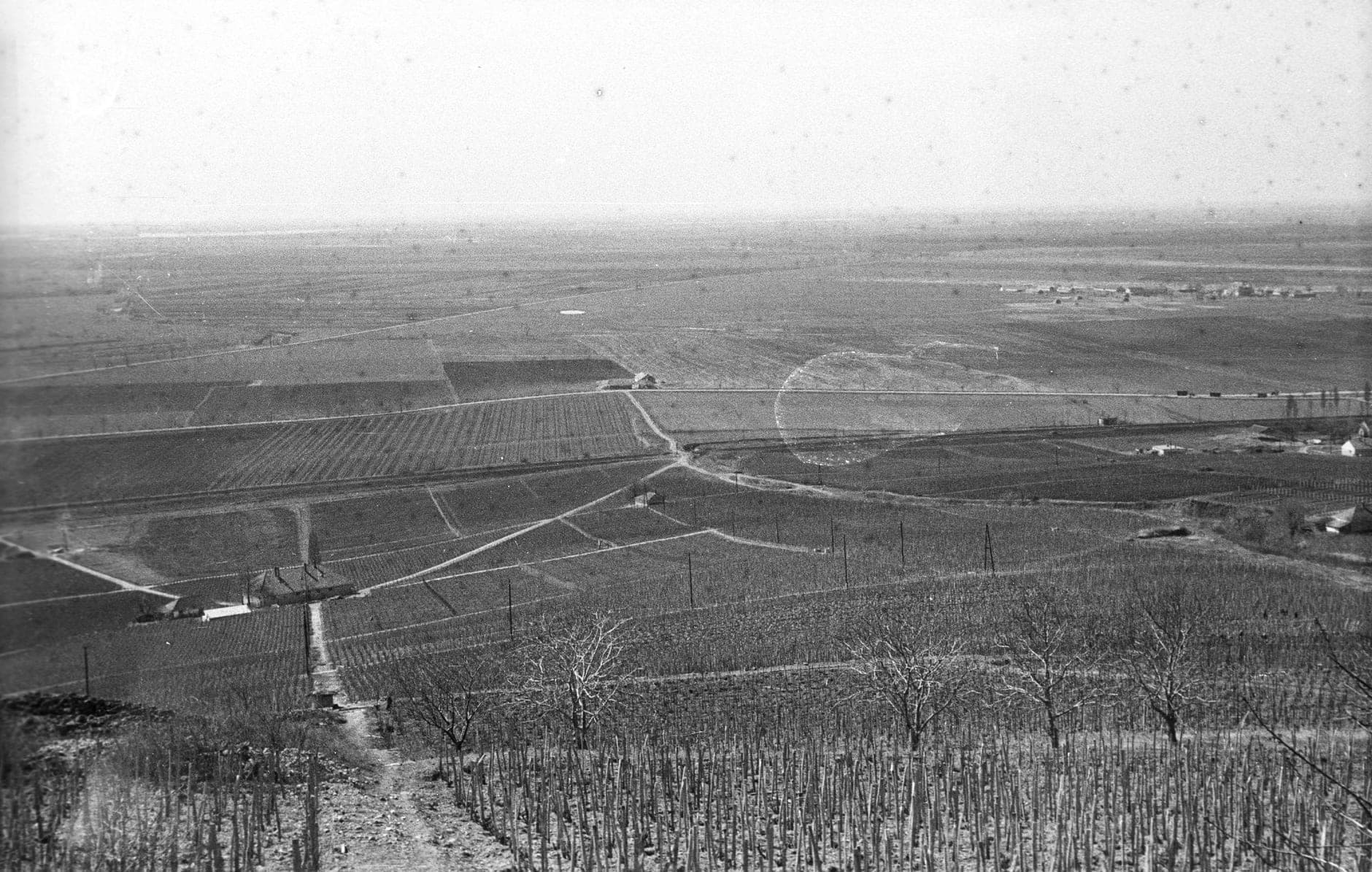 Tokaj (Hungary)