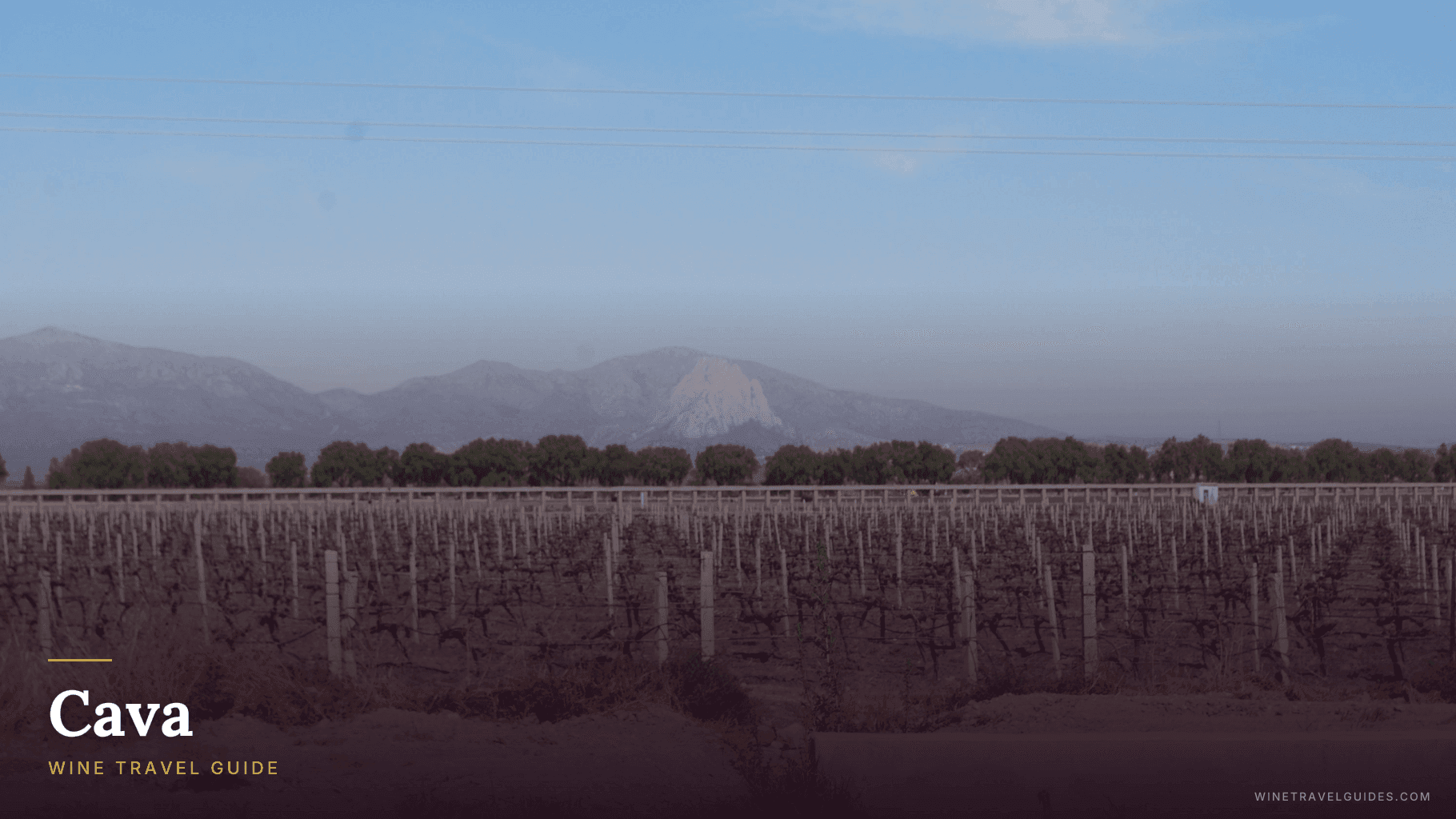 Cava Wine Travel Guide (Catalonia, Spain)