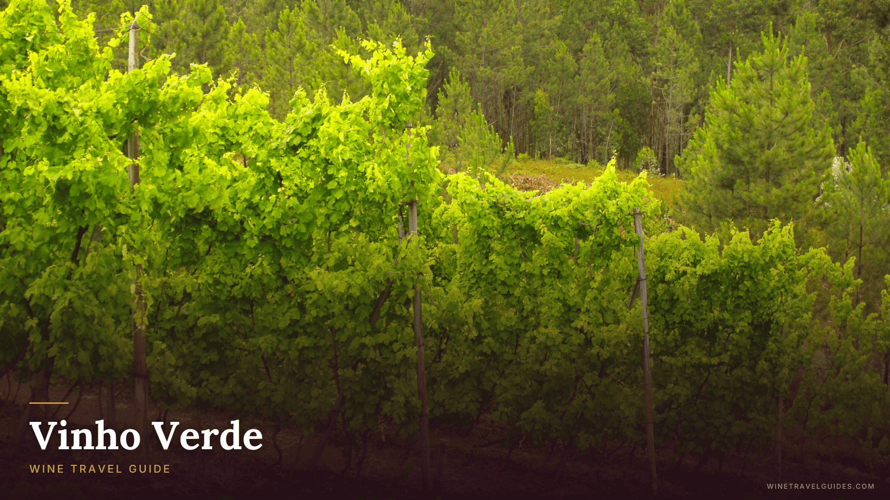 Vinho Verde (Portugal)